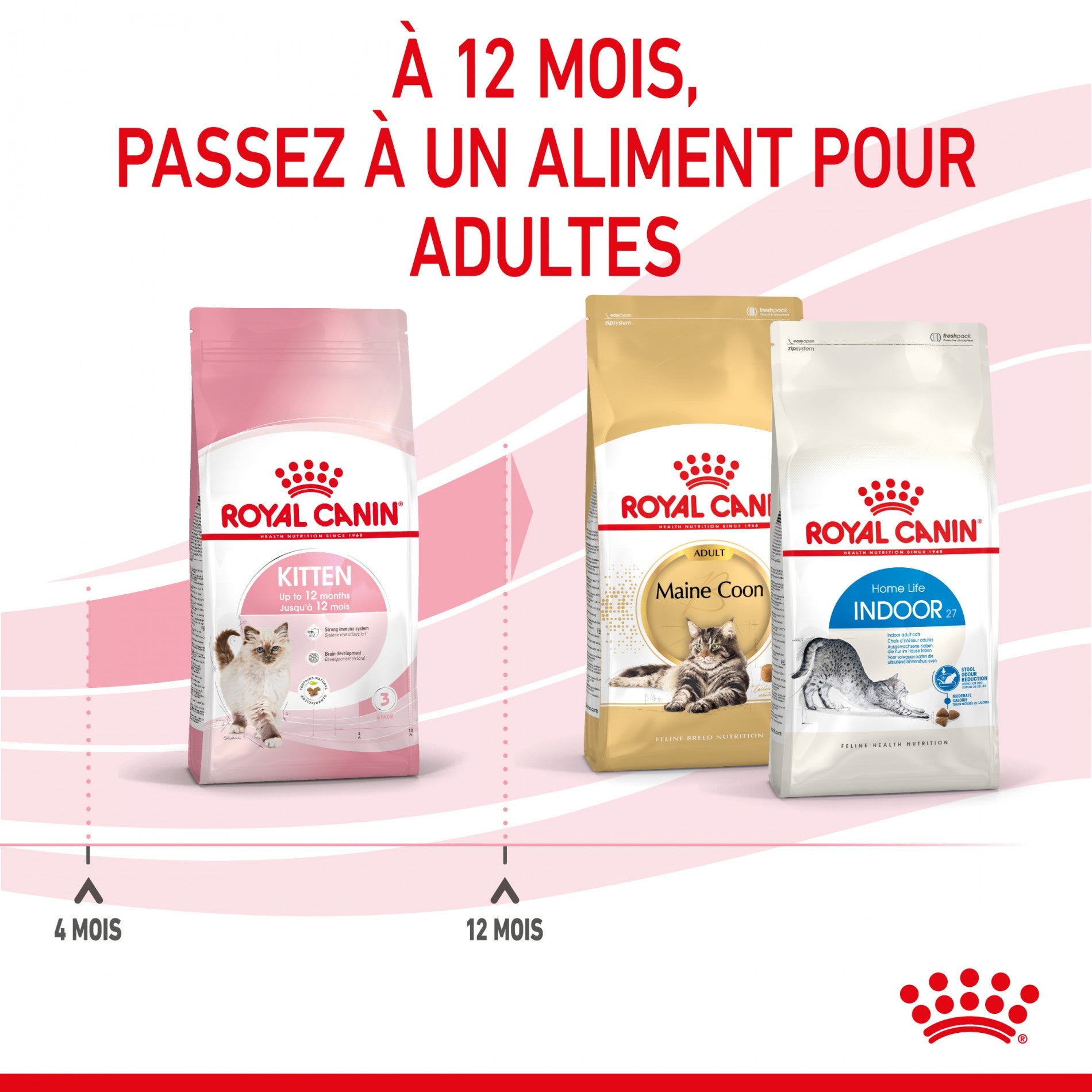 Royal Canin Kitten Second Age