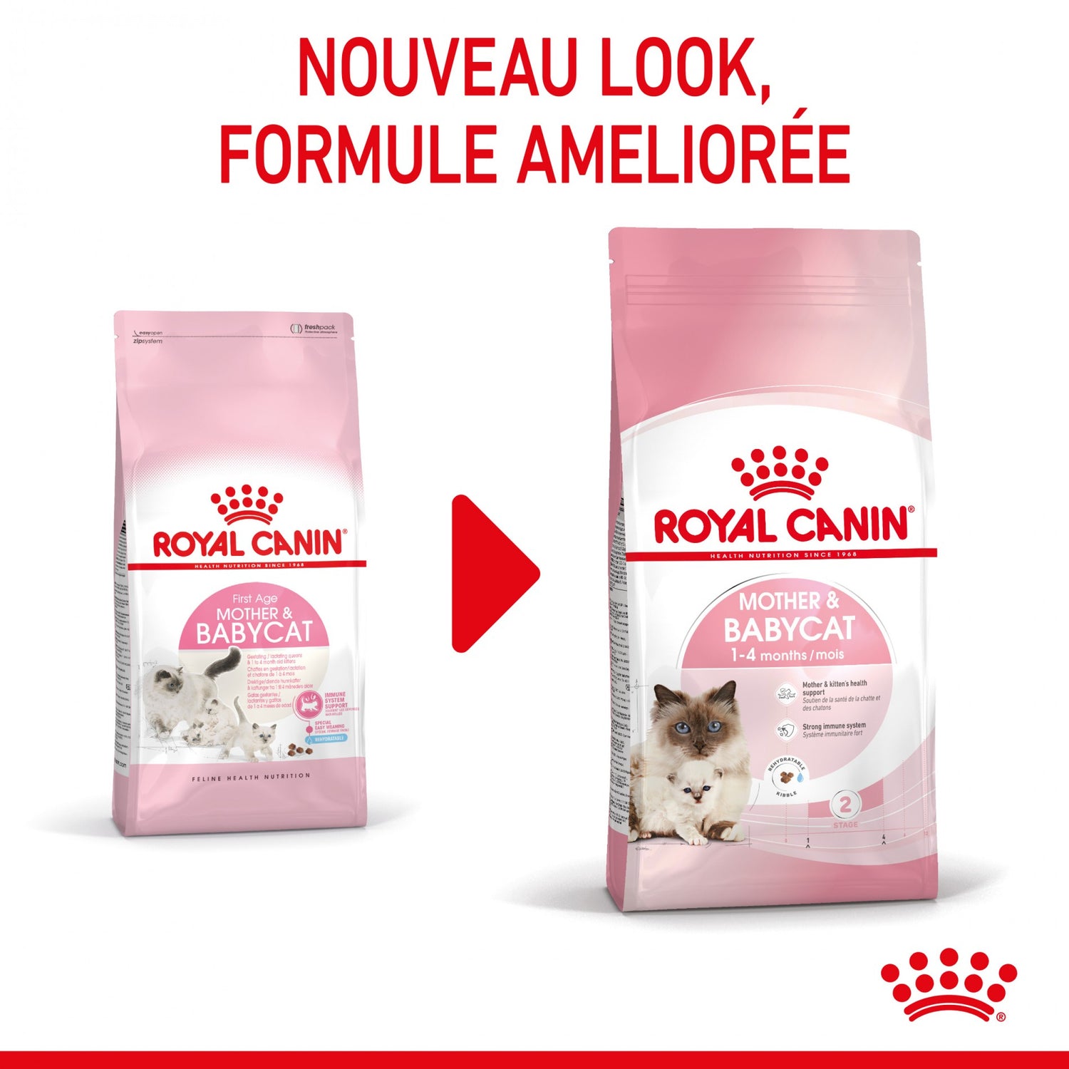 ROYAL CANIN Mother & BabyCat - Croquettes pour chatte et chaton