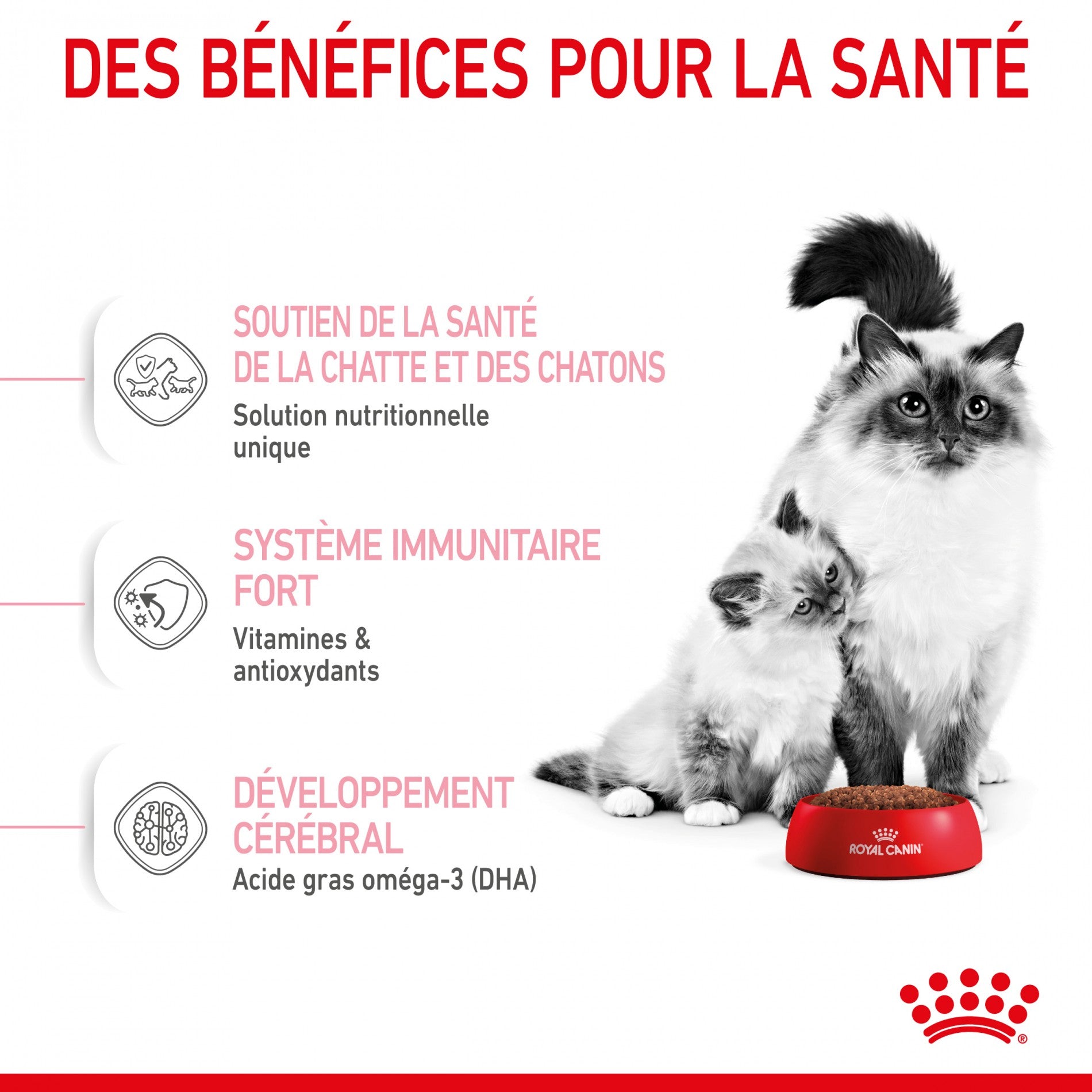 ROYAL CANIN Mother & BabyCat - Croquettes pour chatte et chaton