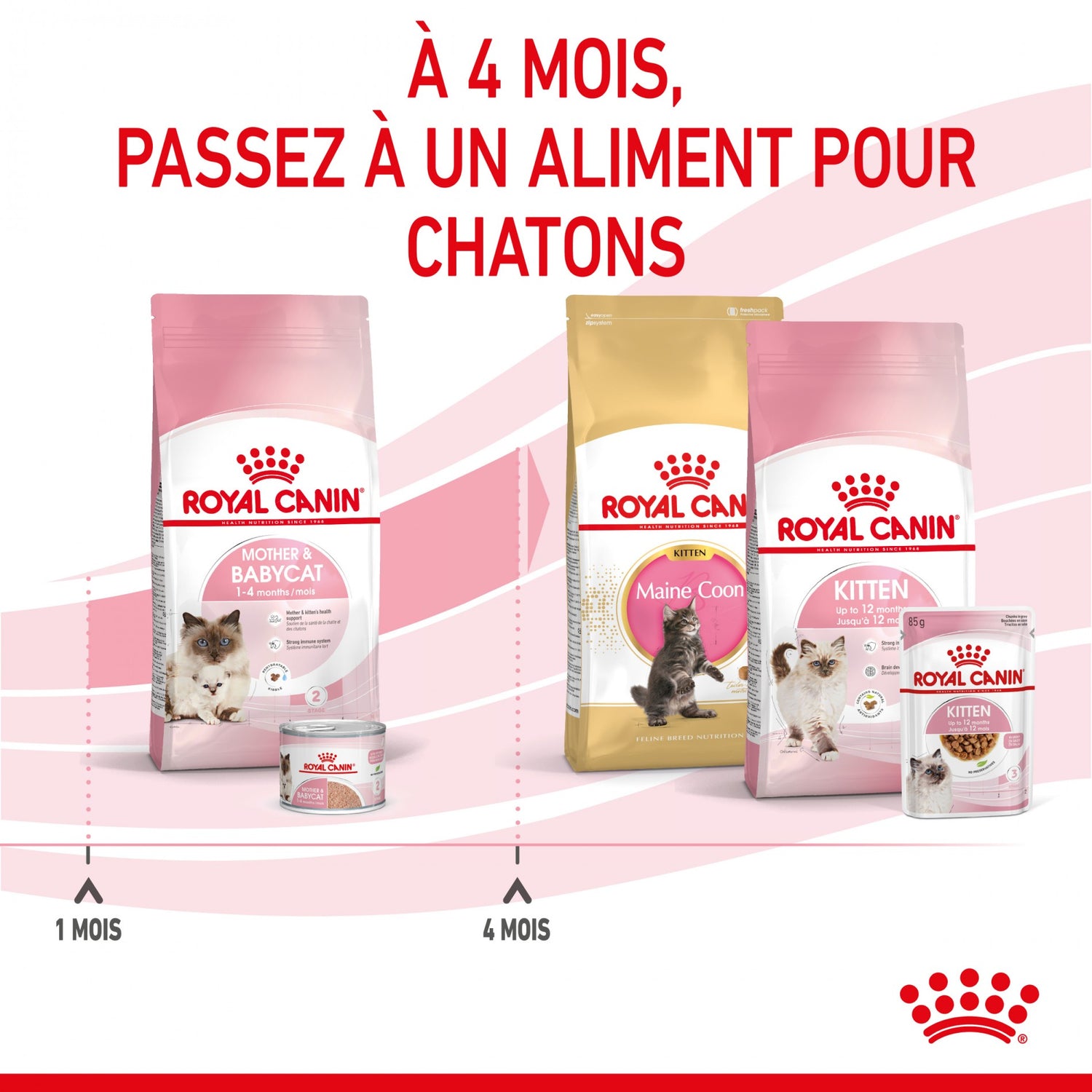 ROYAL CANIN Mother & BabyCat - Croquettes pour chatte et chaton