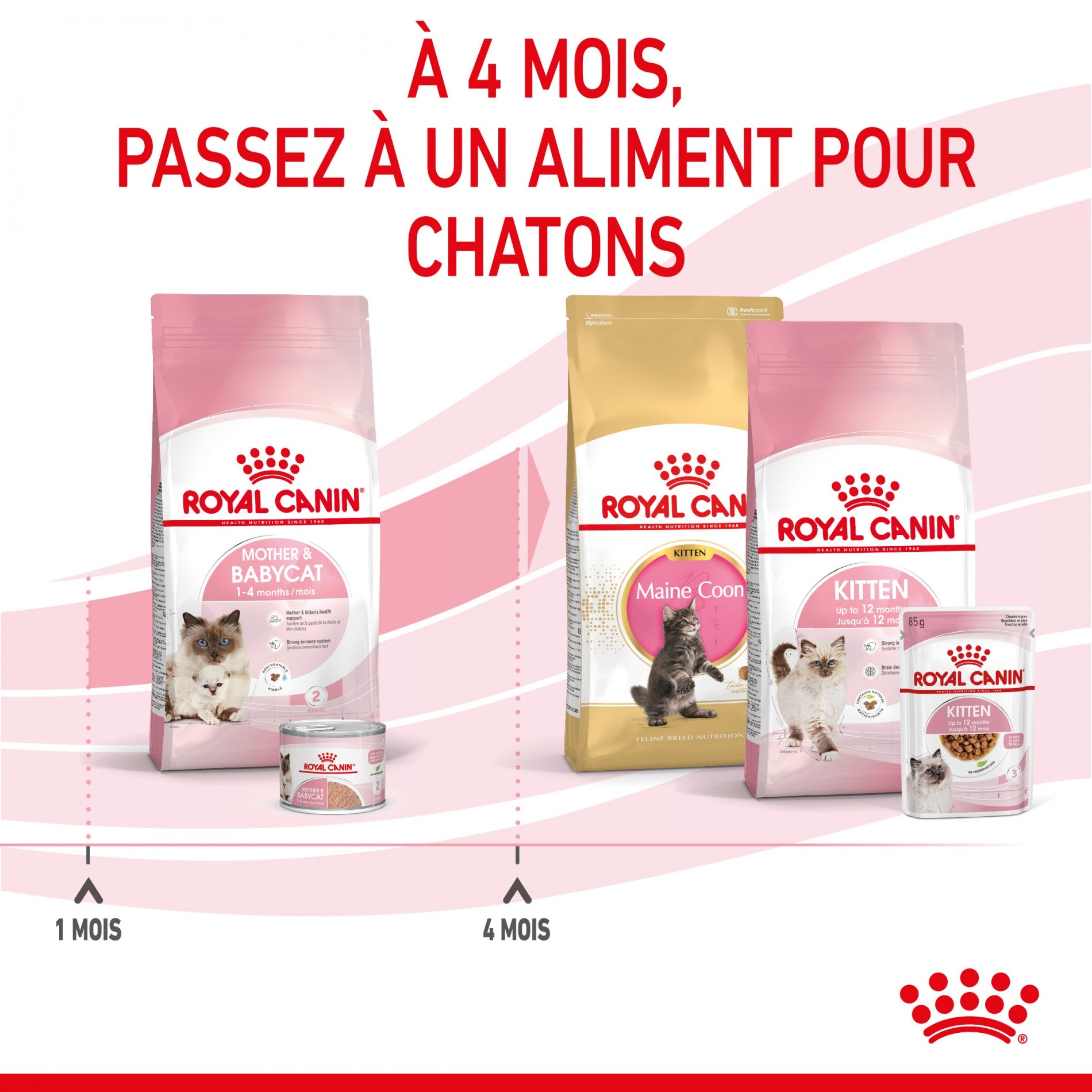 ROYAL CANIN Mother & BabyCat - Croquettes pour chatte et chaton