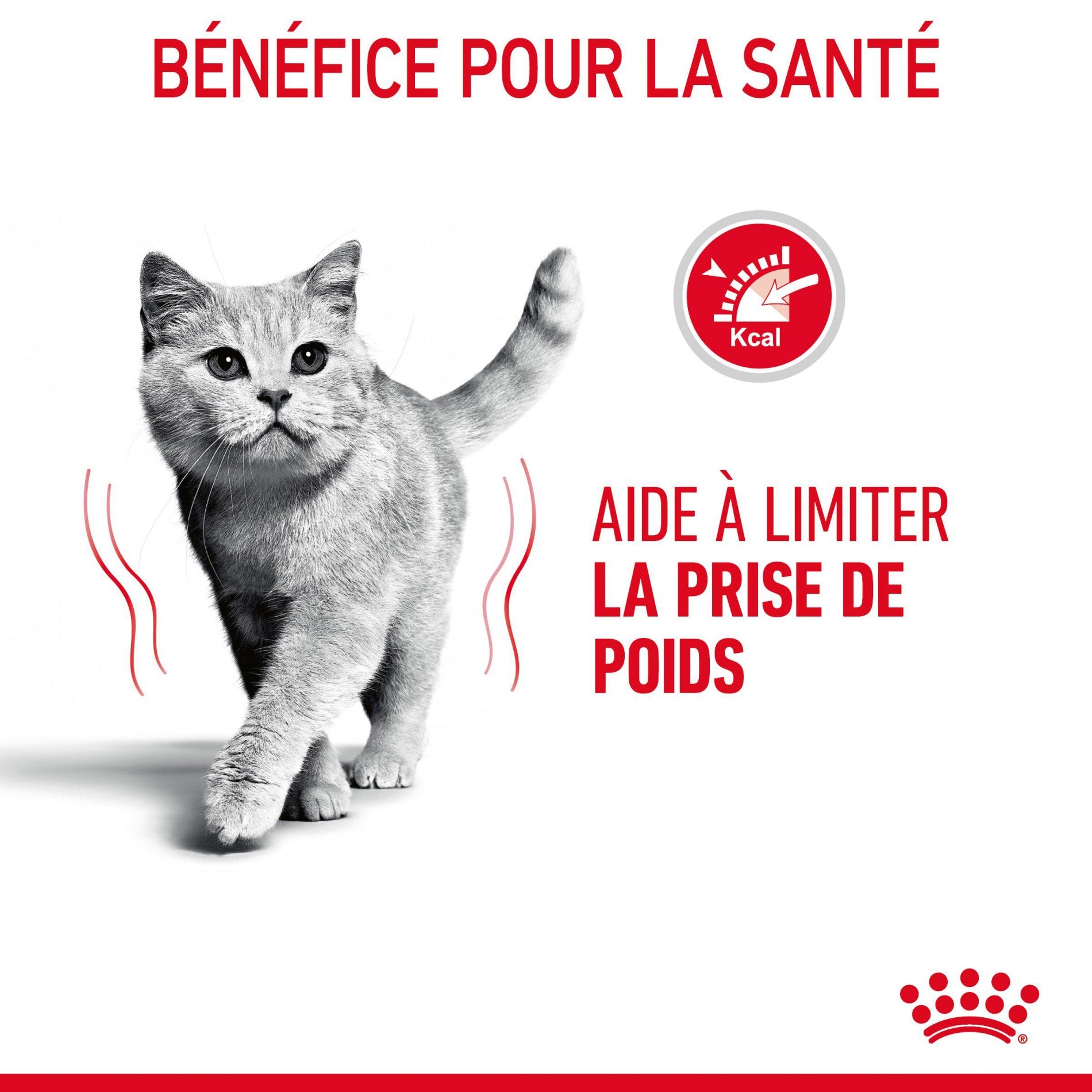 Royal Canin Light Weight Care Adult - croquettes pour chat
