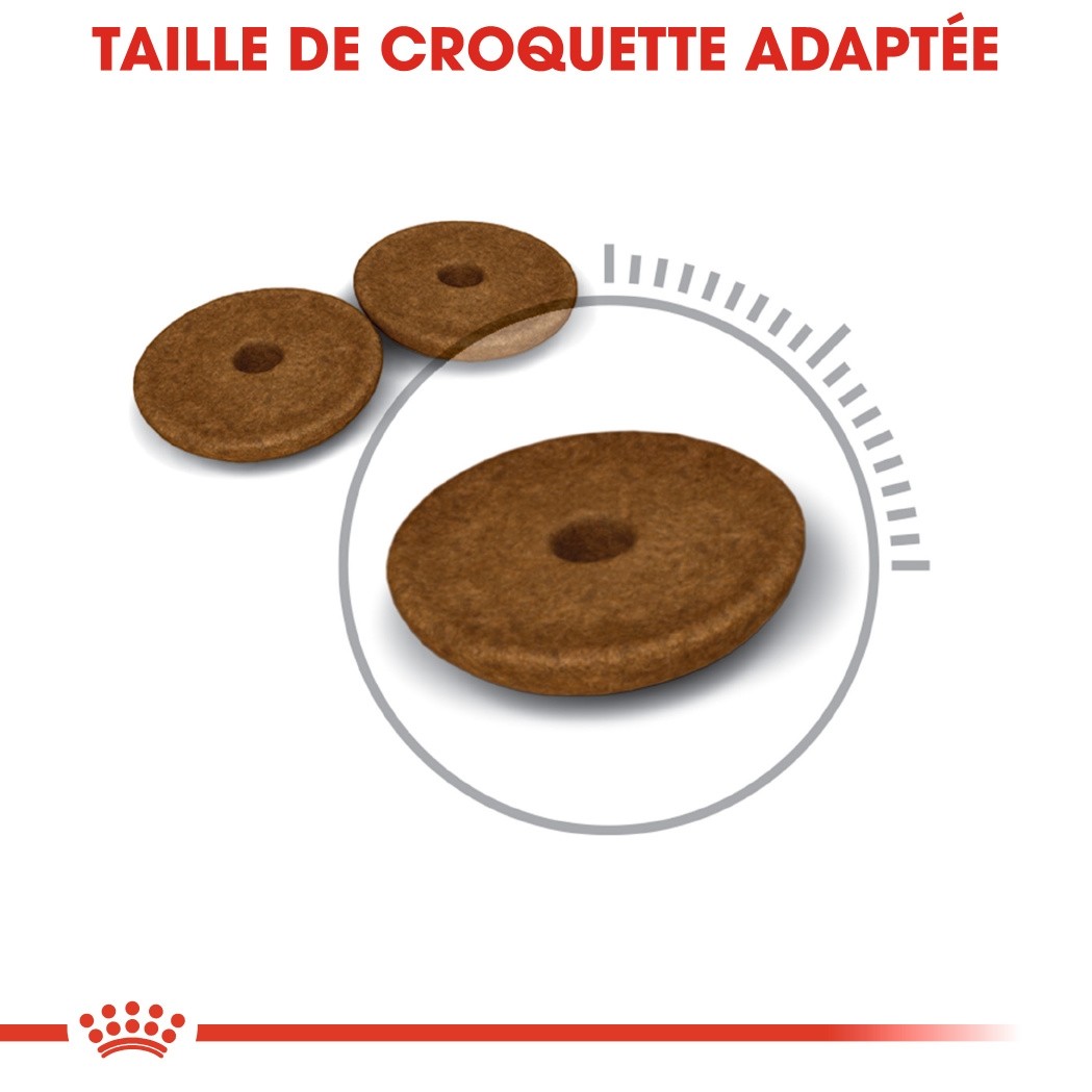 ROYAL CANIN Digestive Care – Croquettes pour chat