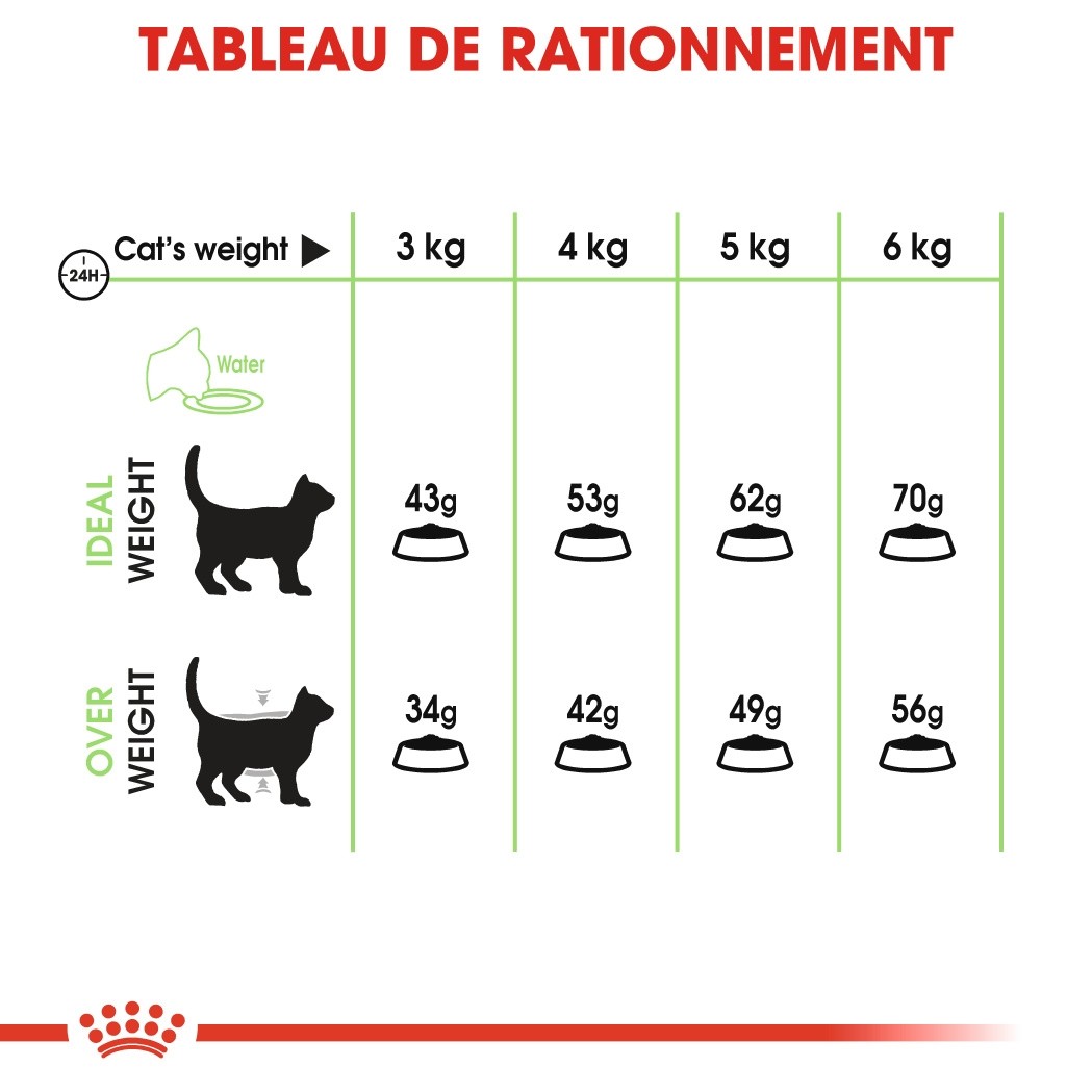 ROYAL CANIN Digestive Care – Croquettes pour chat