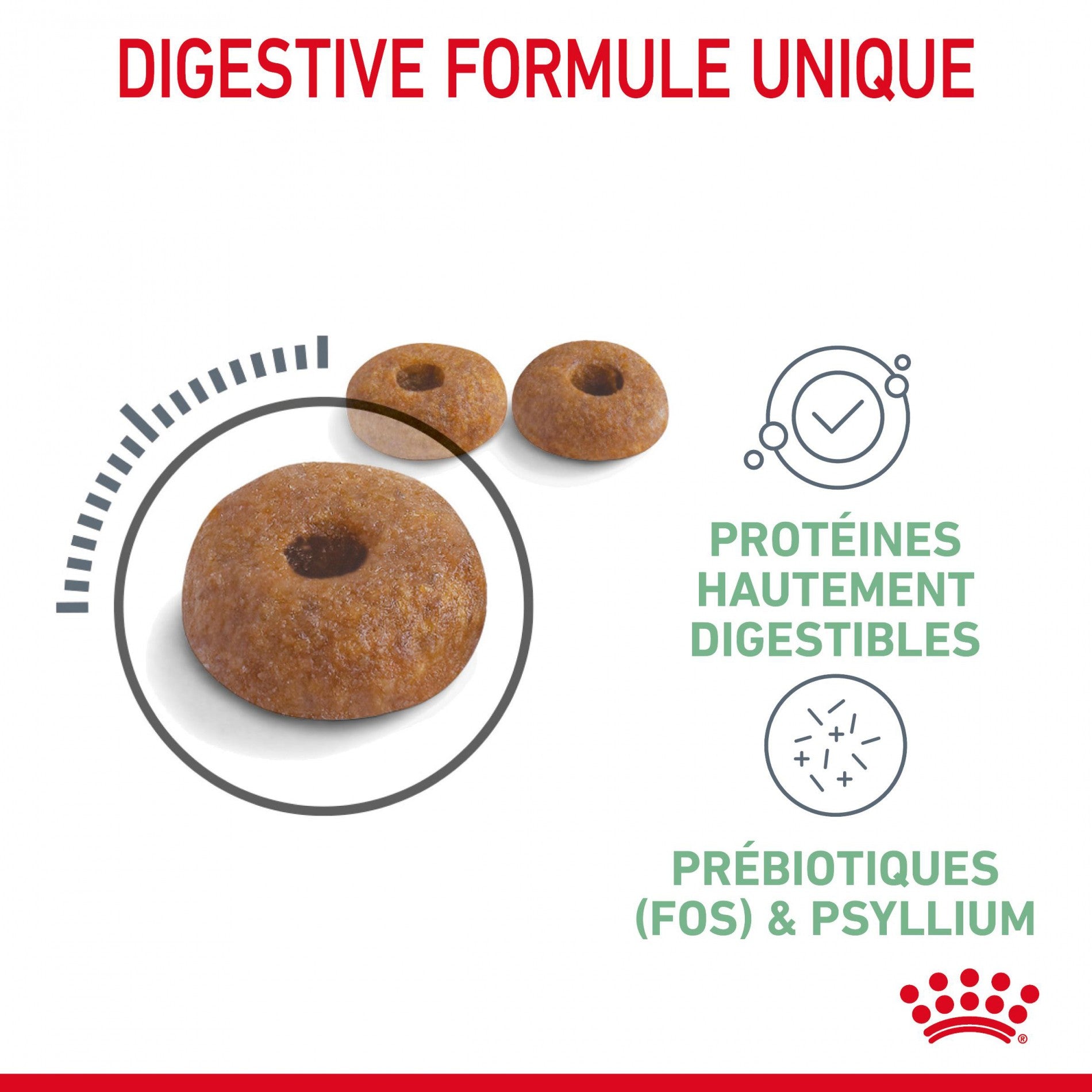 ROYAL CANIN Digestive Care – Croquettes pour chat
