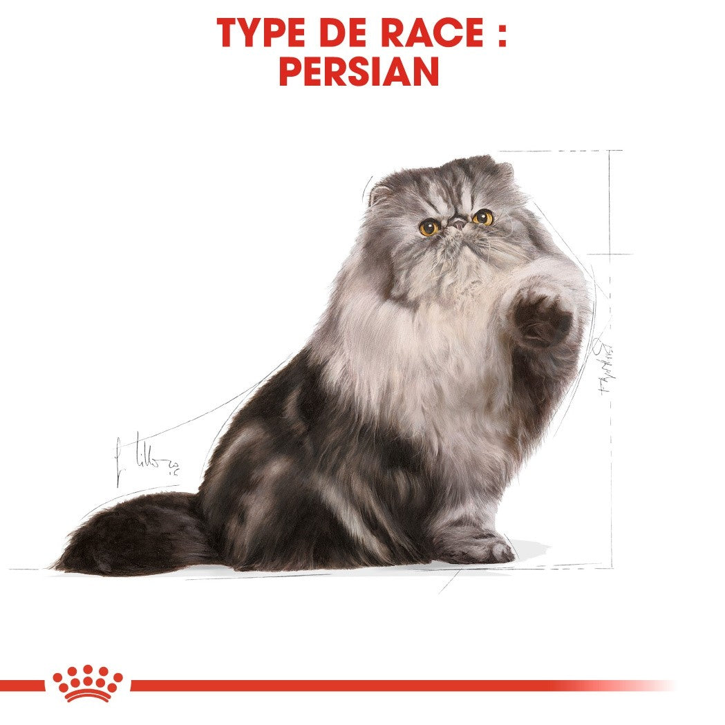 Royal Canin Persian Adult - Croquettes pour chat