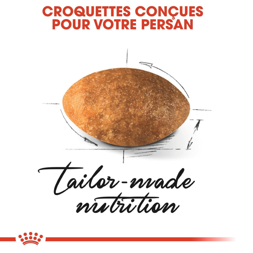Royal Canin Persian Adult - Croquettes pour chat