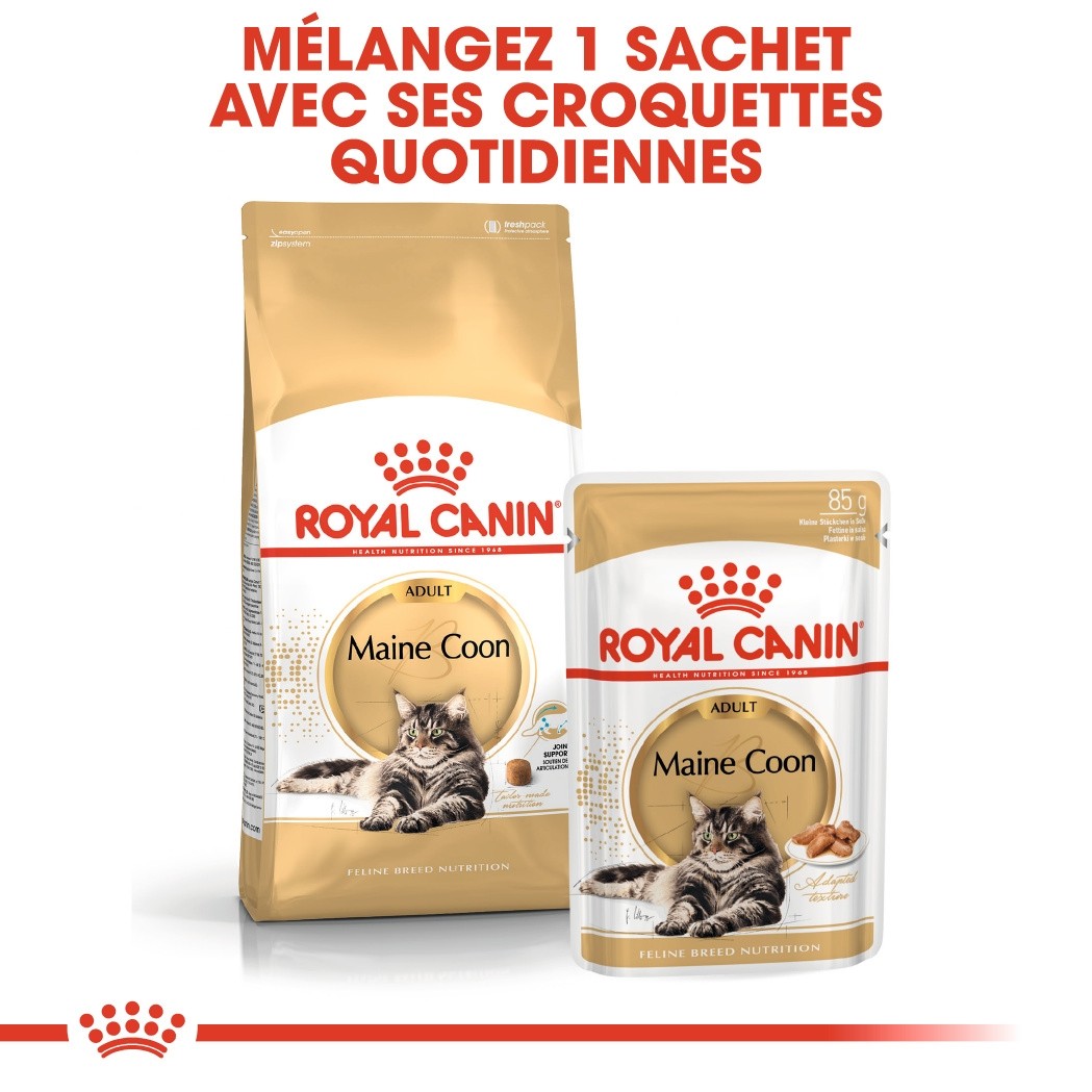 Royal Canin Maine Coon Adult - Croquettes pour chat