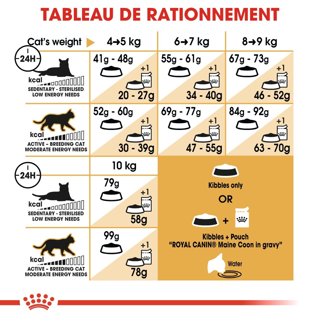 Royal Canin Maine Coon Adult - Croquettes pour chat