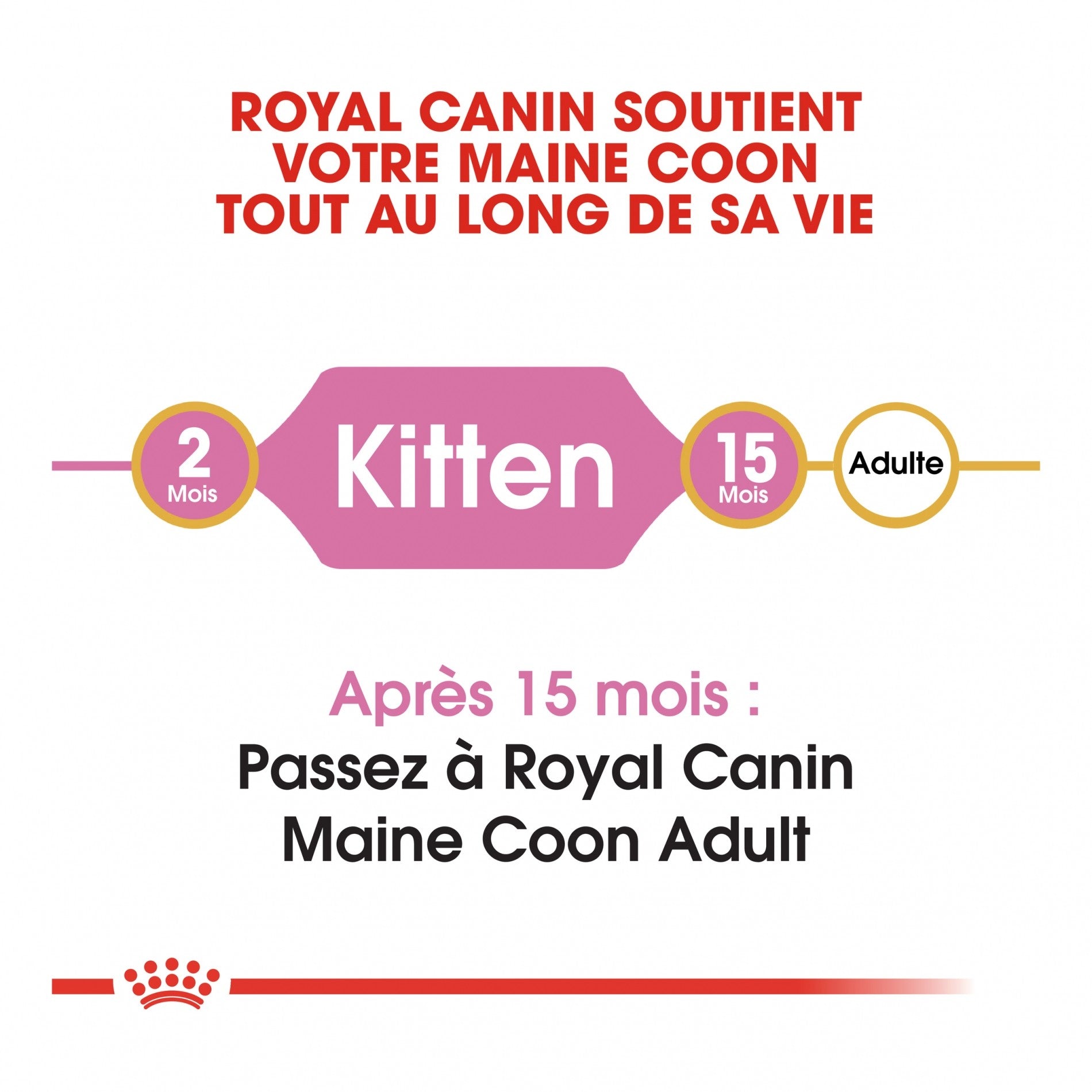 Royal Canin Maine Coon Kitten