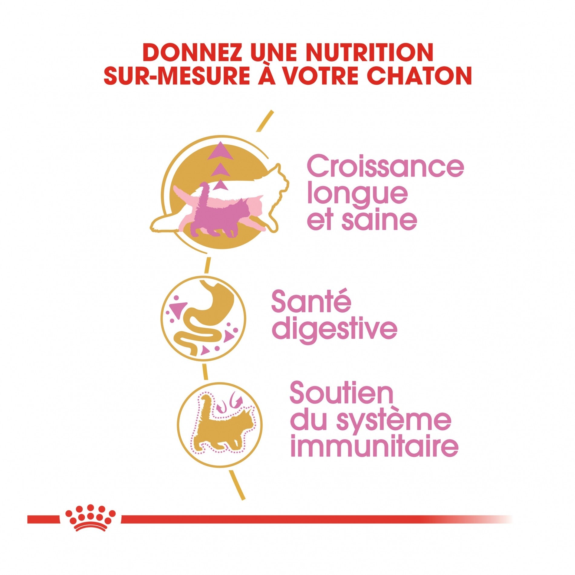 Royal Canin Maine Coon Kitten