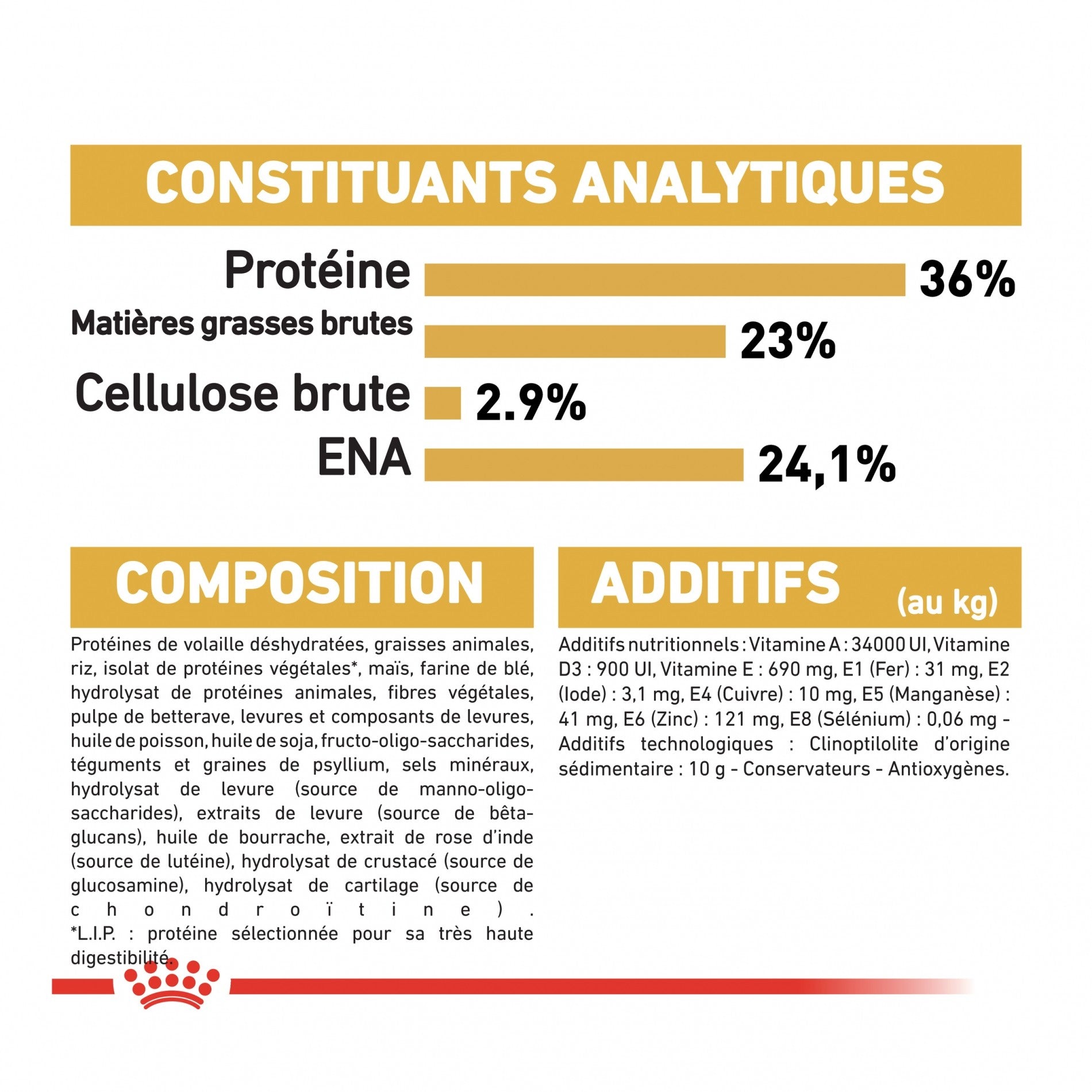 Royal Canin Maine Coon Kitten