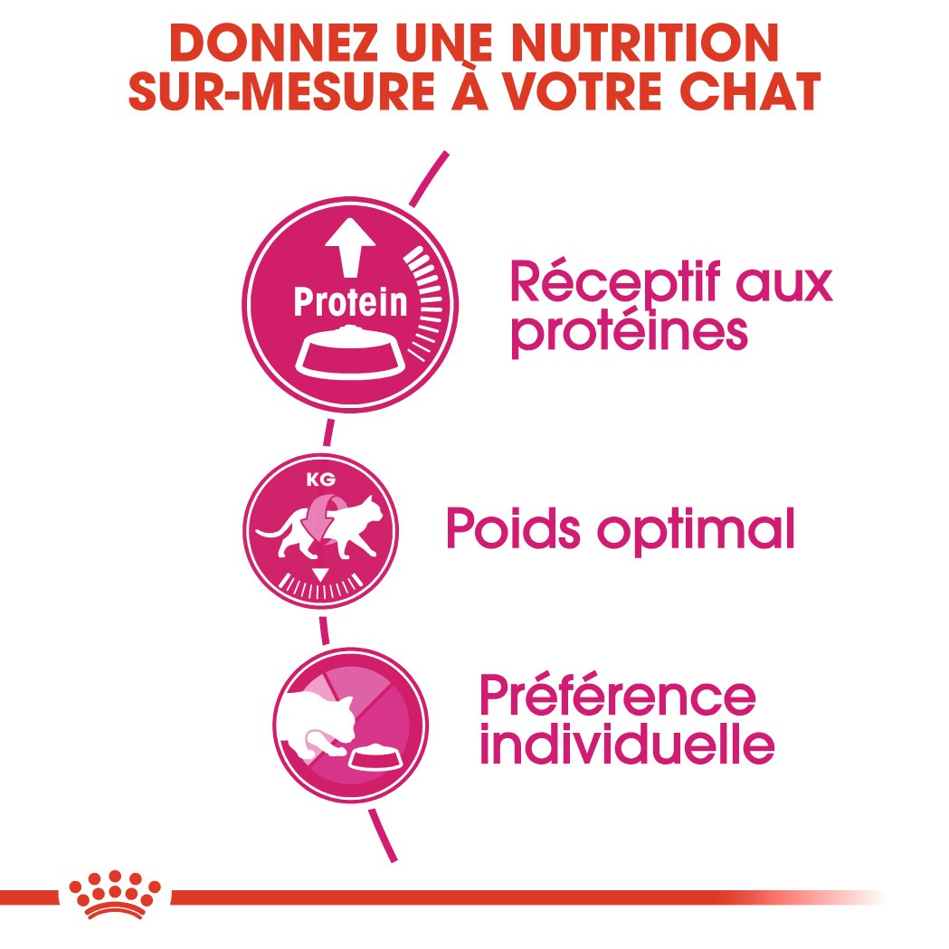 Royal Canin Protein Exigent