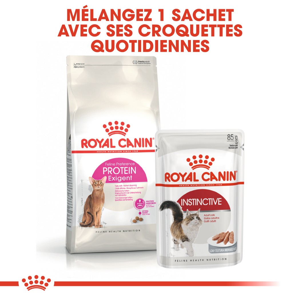Royal Canin Protein Exigent