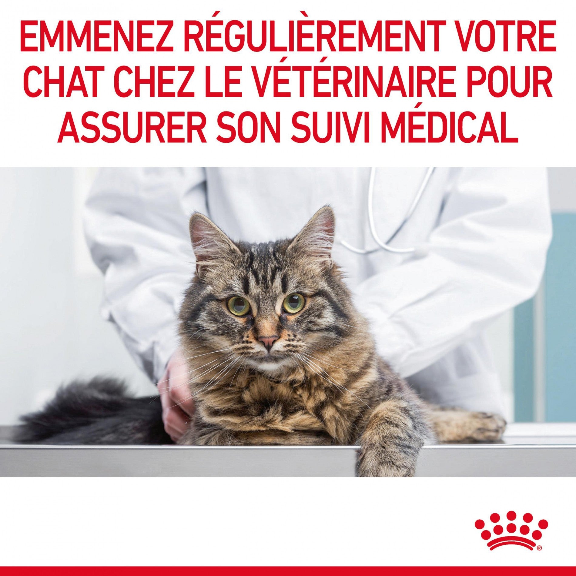 Royal Canin Hairball Care - croquettes chat