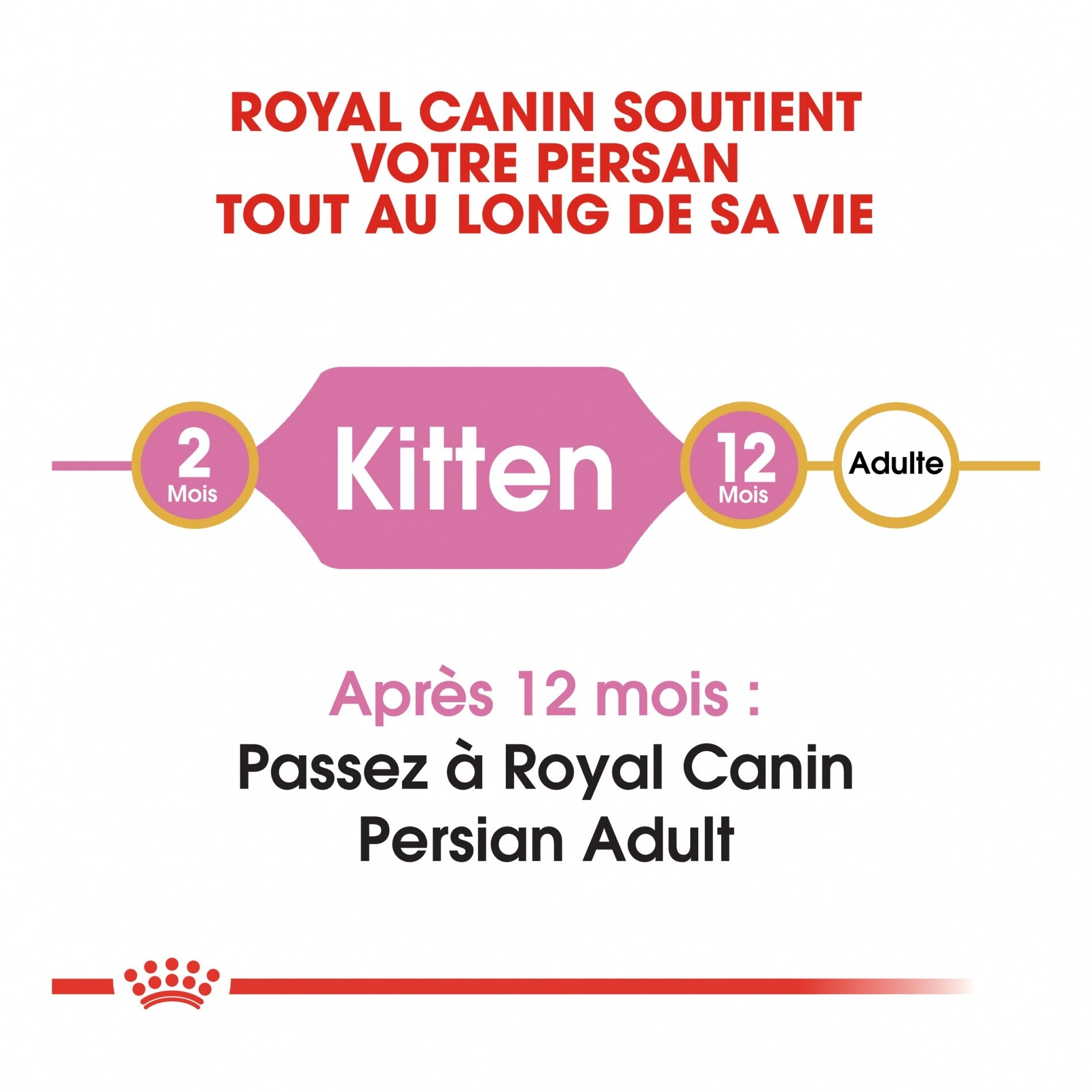 Royal Canin Persian Kitten