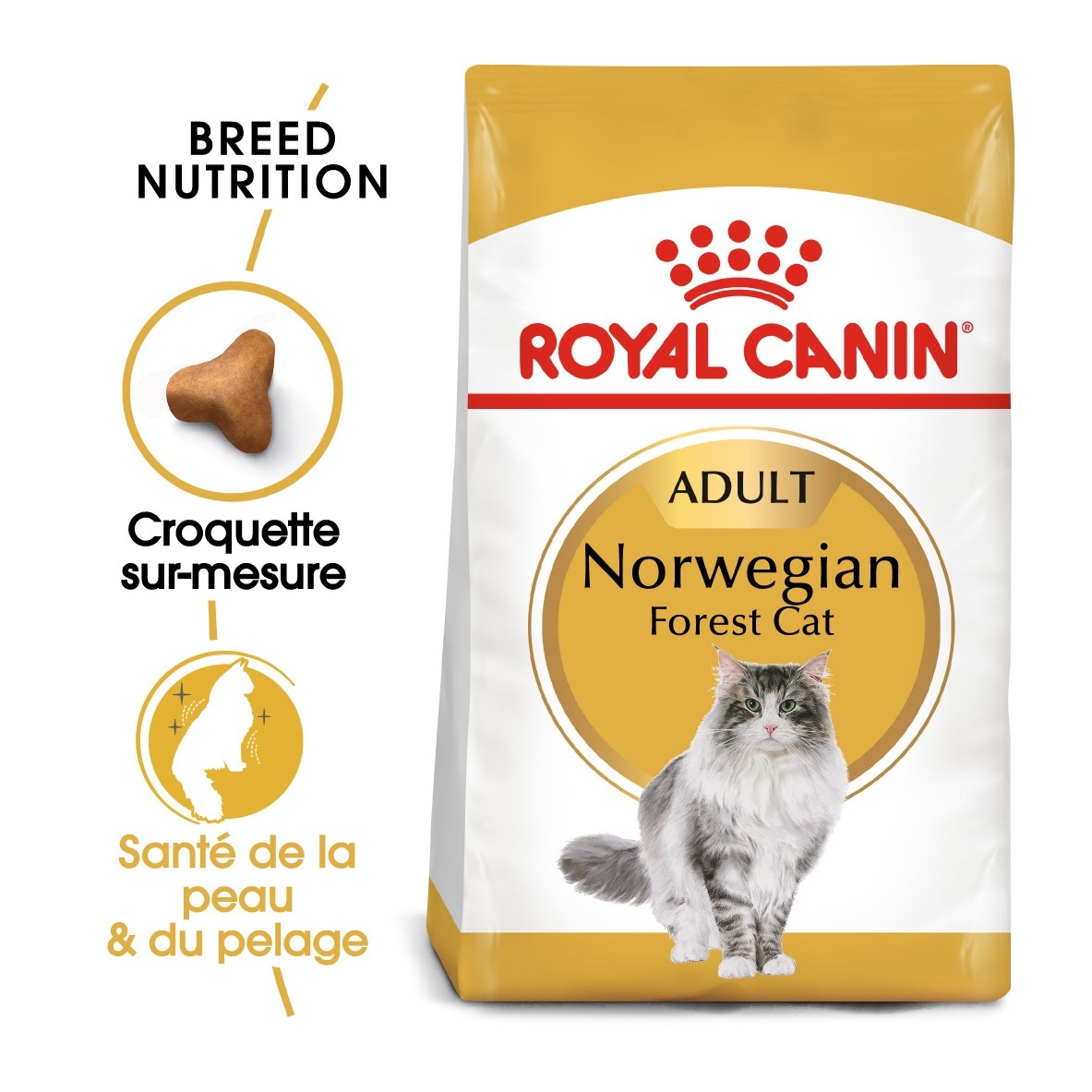 Royal Canin Norvégien Adult 10KG