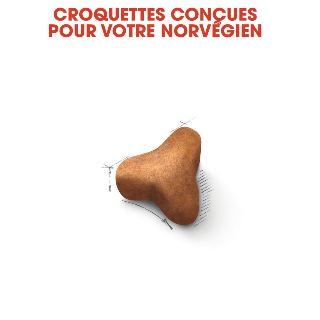 Royal Canin Norvégien Adult 10KG