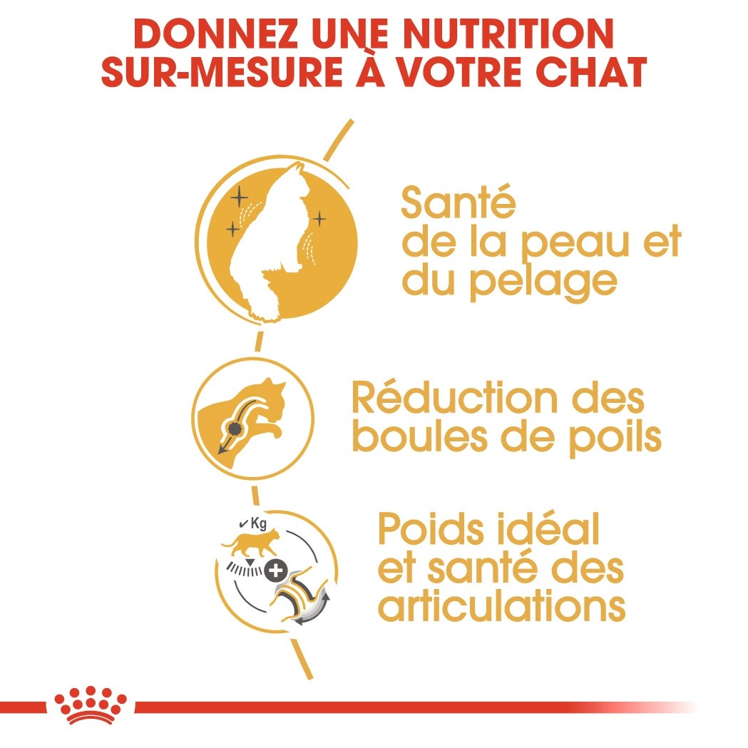 Royal Canin Norvégien Adult 10KG