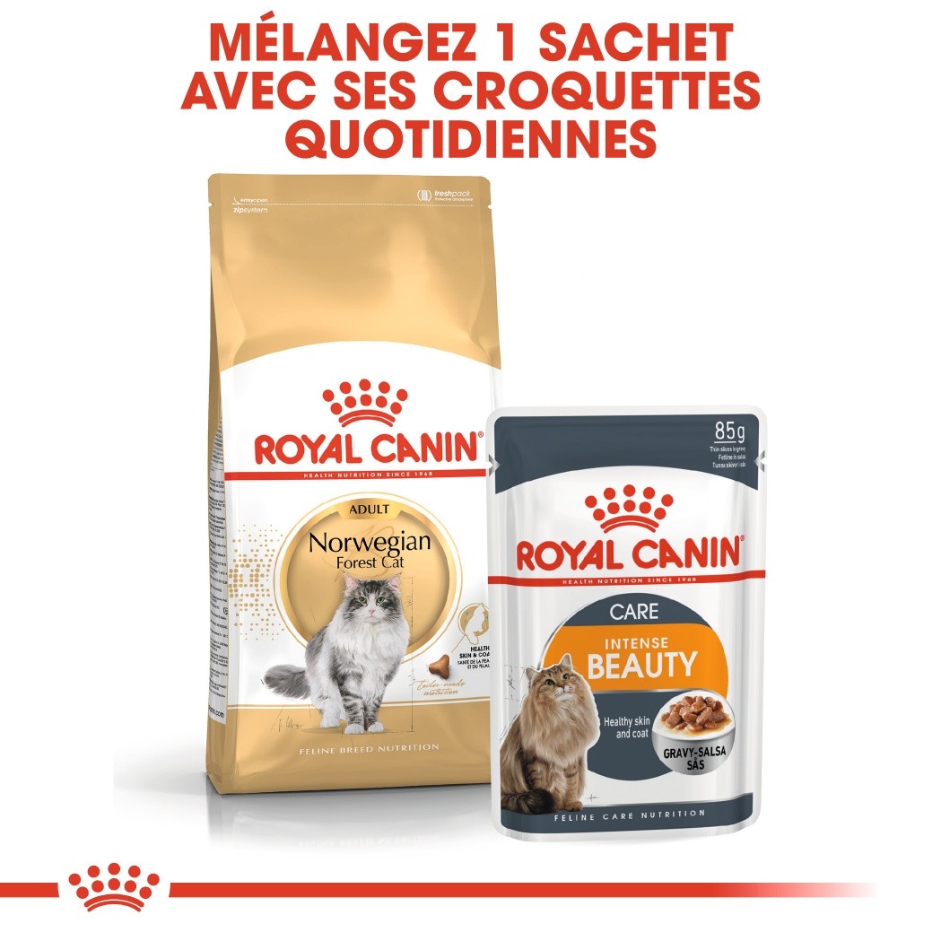 Royal Canin Norvégien Adult 10KG