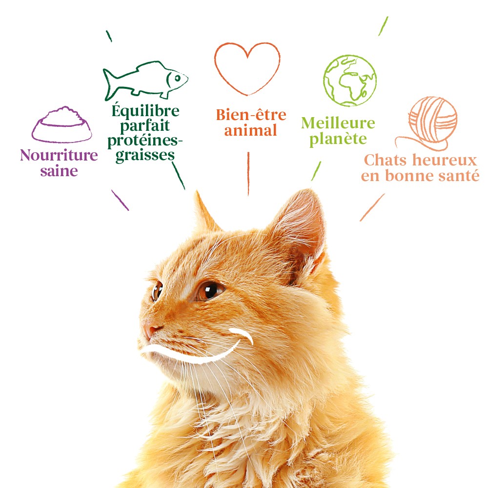 Yarrah croquettes bio pour chat adulte