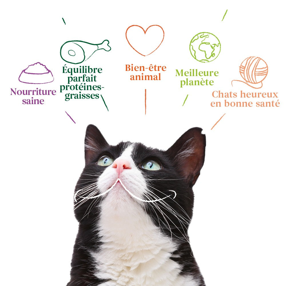 Yarrah croquettes bio pour chat stérilisé