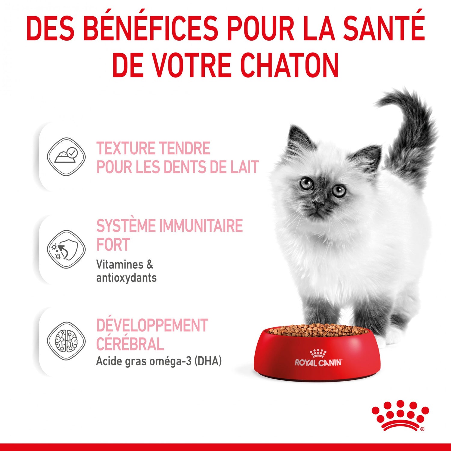Royal Canin Kitten - Sauce pour chaton