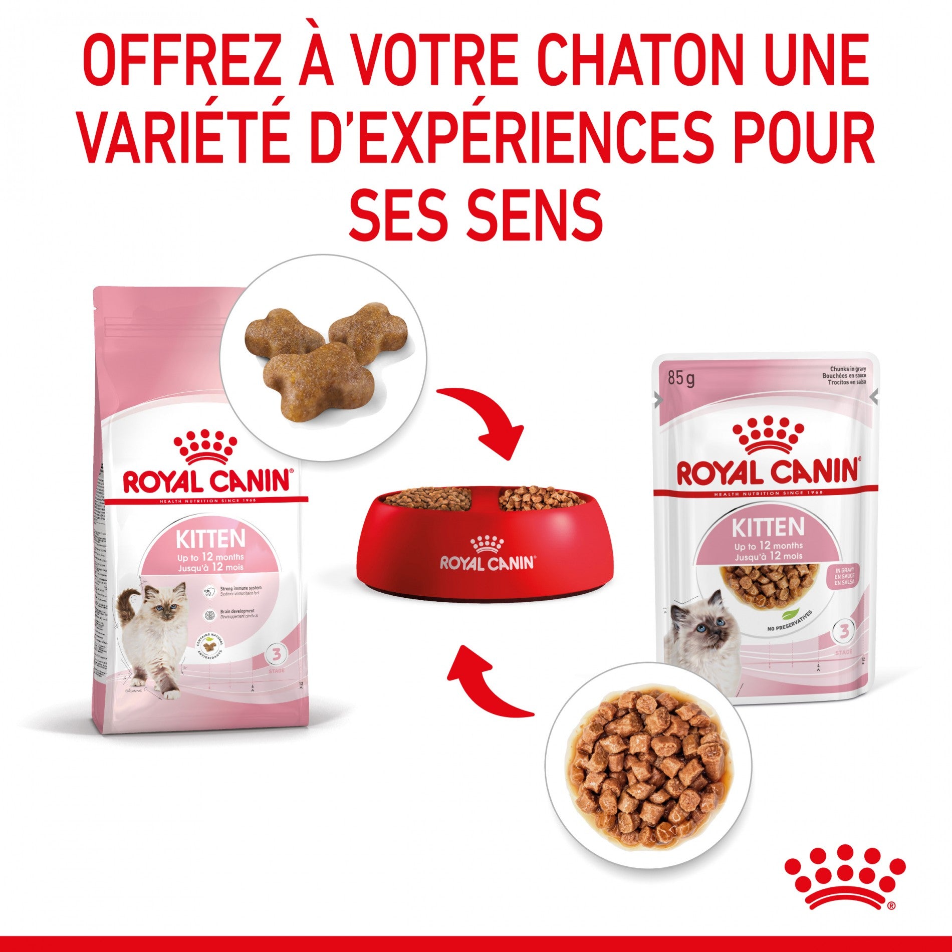 Royal Canin Kitten - Sauce pour chaton