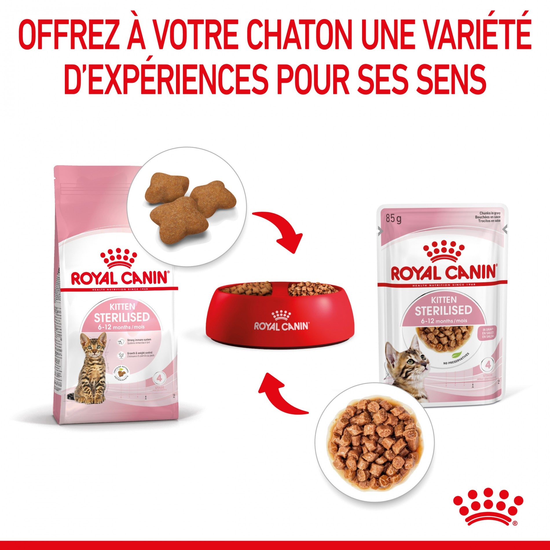 Royal Canin Kitten Sterilised - Gêlée et sauce pour chat