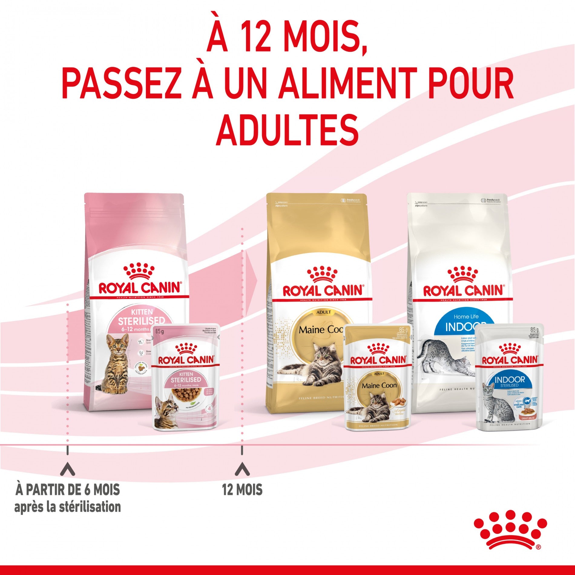 Royal Canin Kitten Sterilised - Gêlée et sauce pour chat