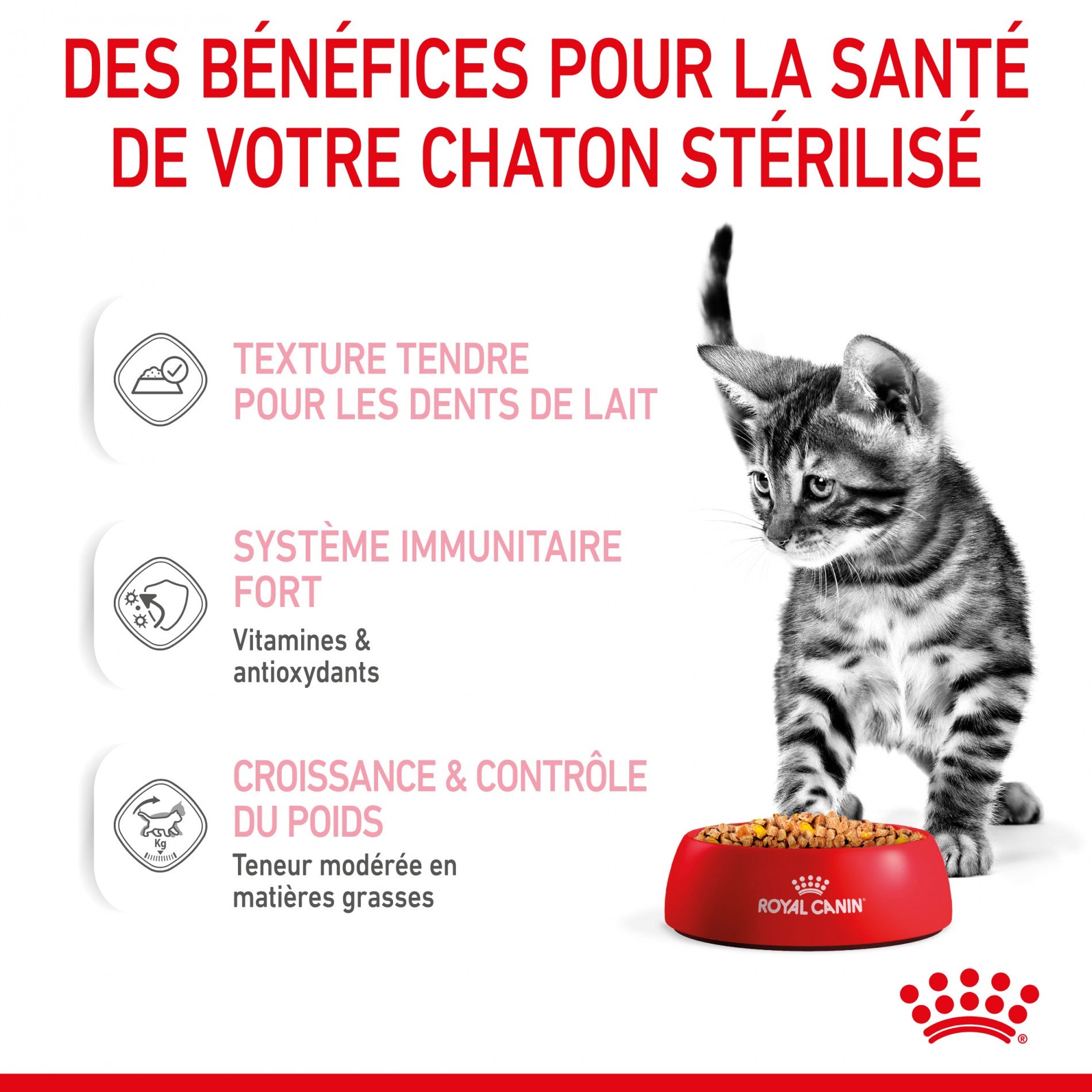 Royal Canin Kitten Sterilised - Gêlée et sauce pour chat