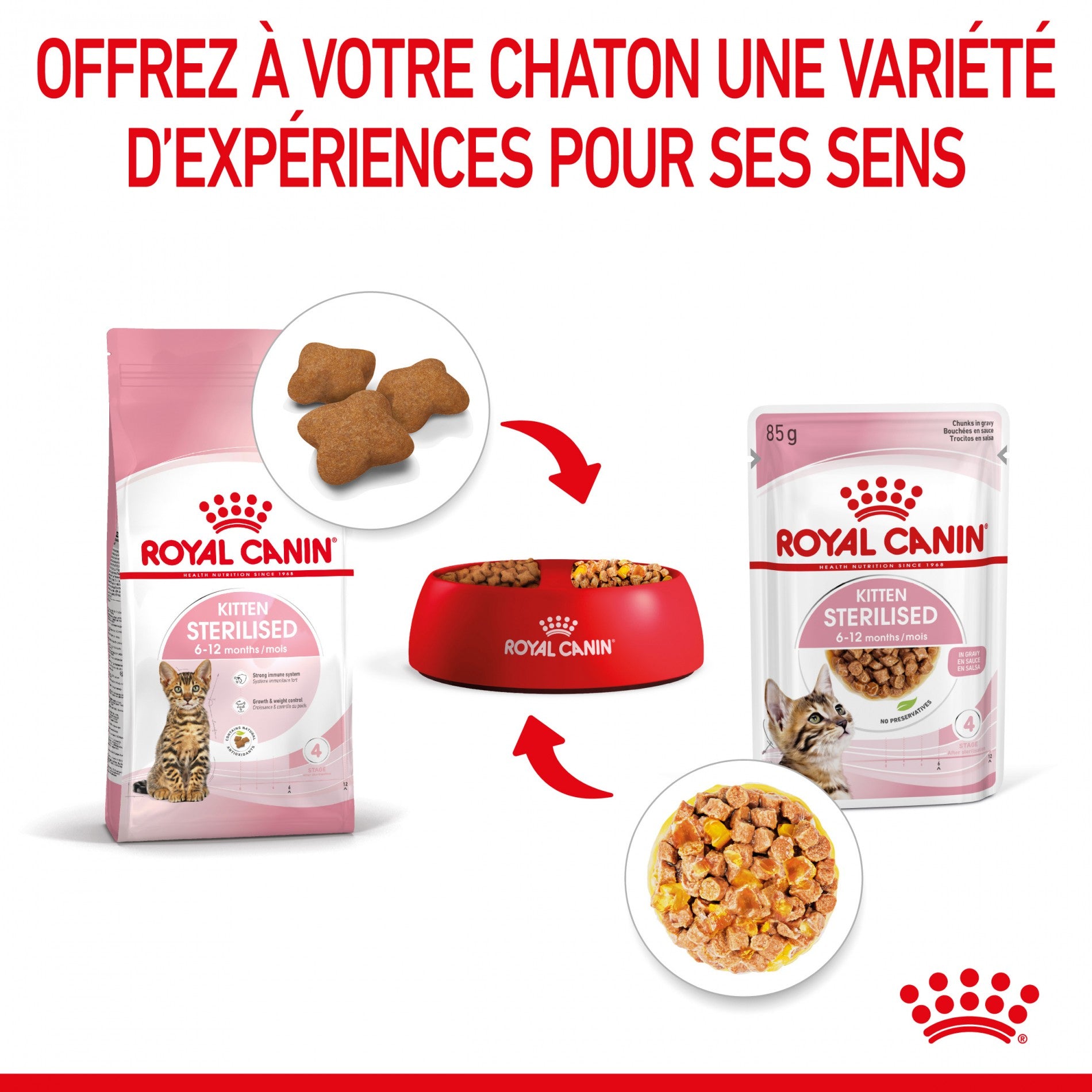 Royal Canin Kitten Sterilised - Gêlée et sauce pour chat