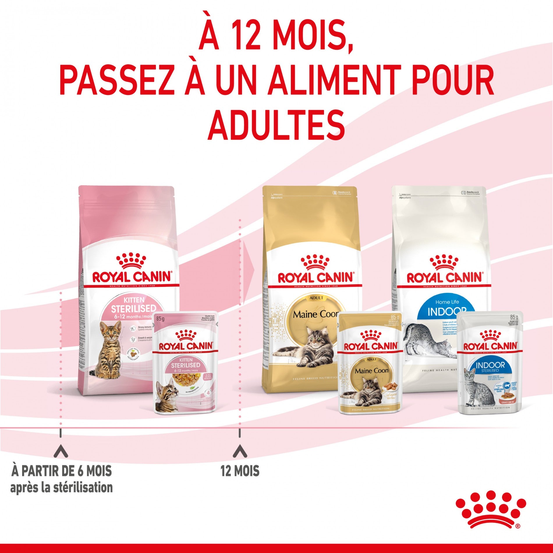 Royal Canin Kitten Sterilised - Gêlée et sauce pour chat