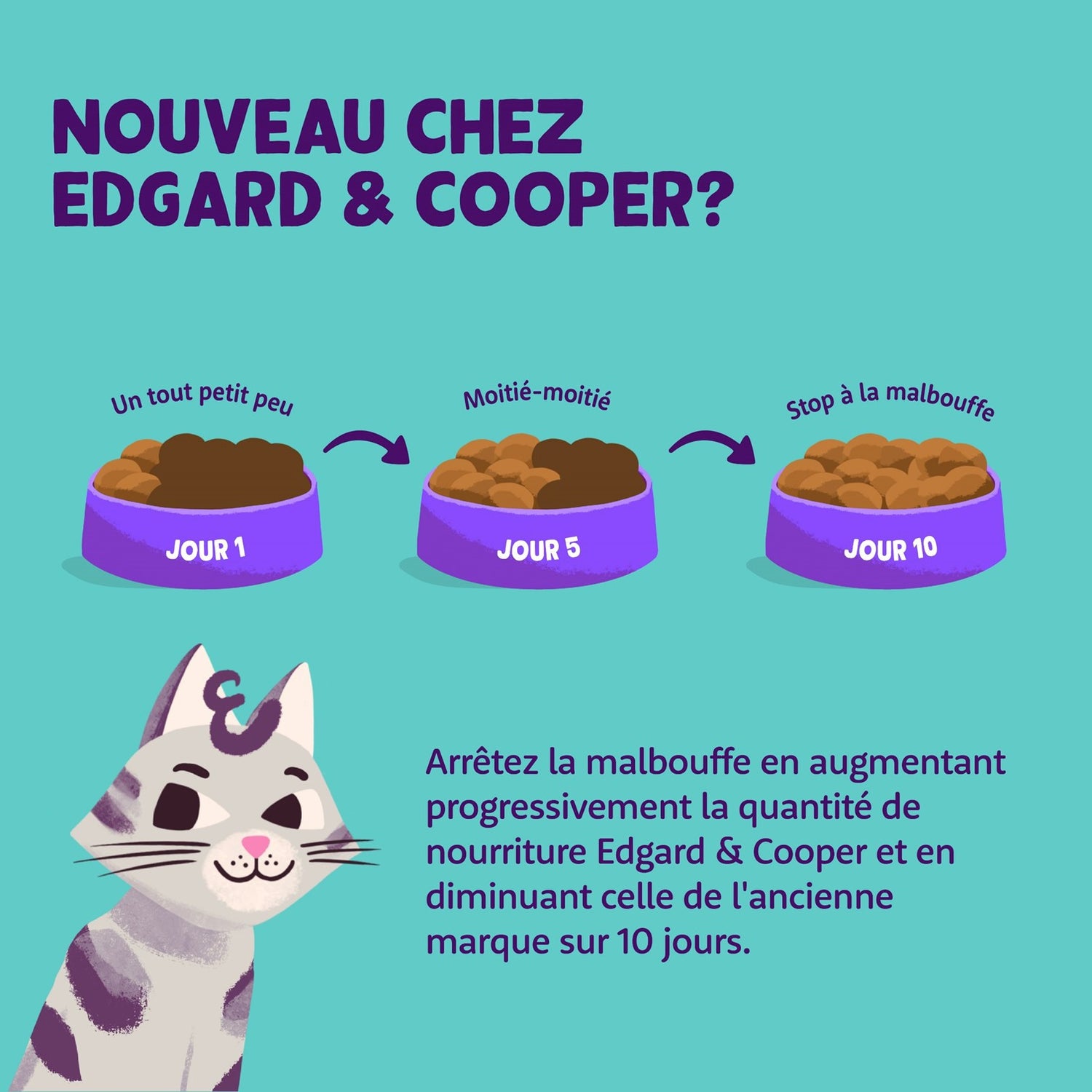 Edgard & Cooper Pâtée Moelleuse Édition Festive – Pâtée pour chat adulte