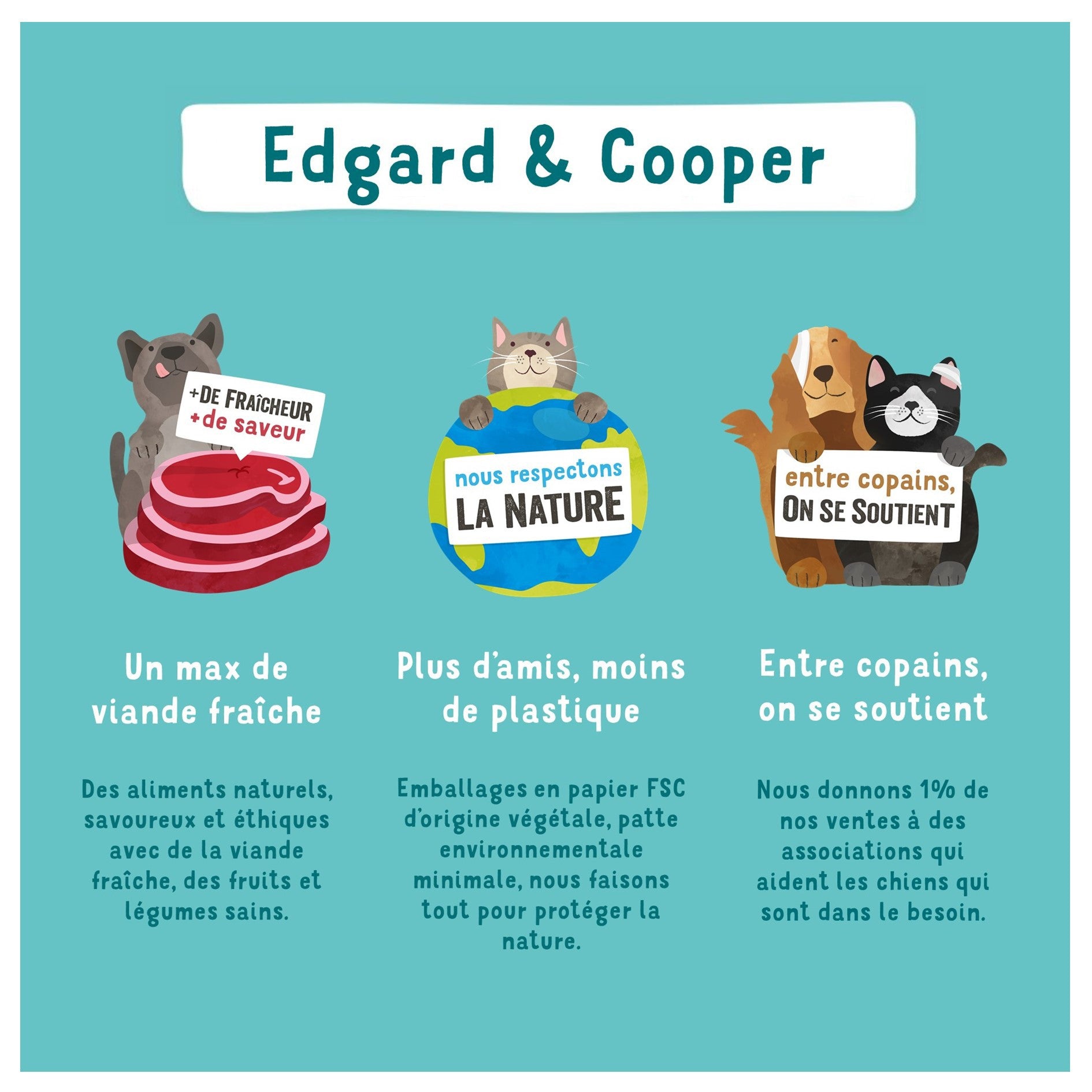 Edgard & Cooper Pâtée Moelleuse Édition Festive – Pâtée pour chat adulte