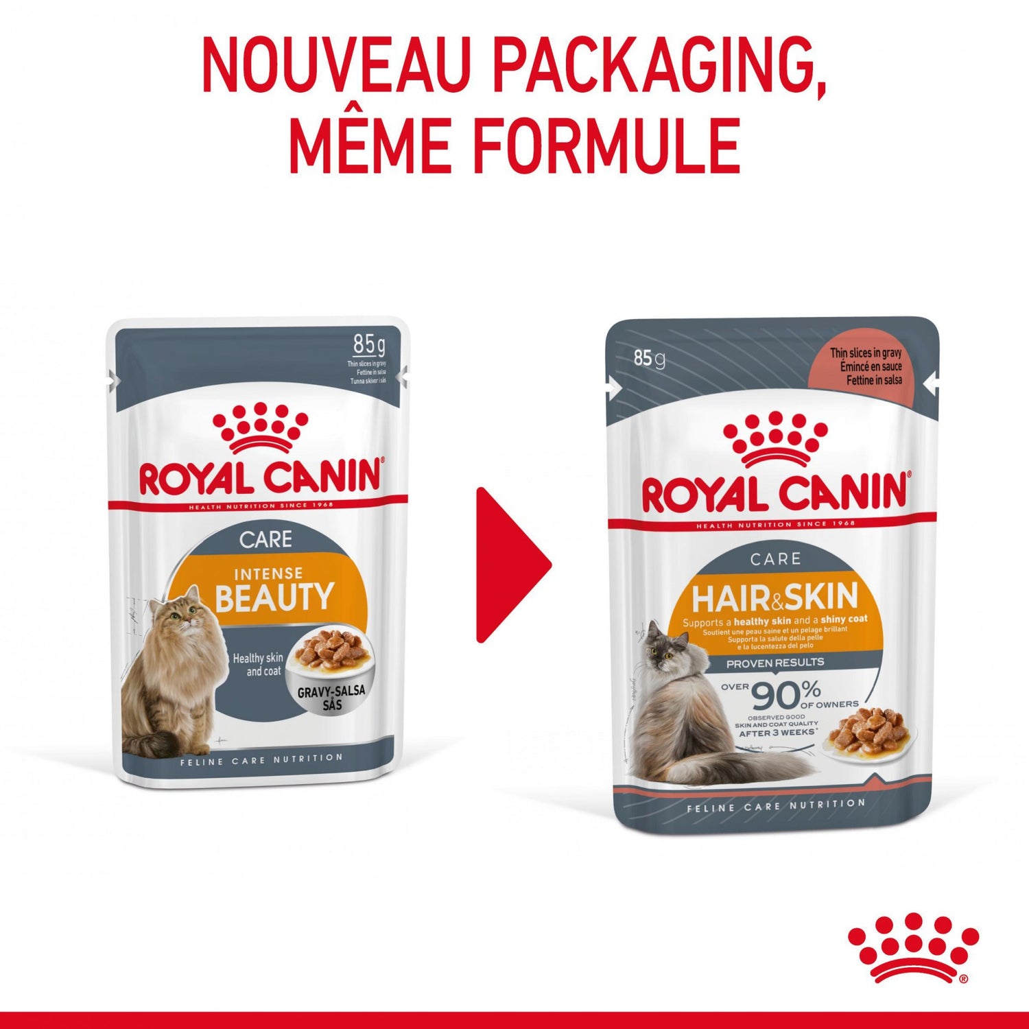 Royal Canin Intense Beauty