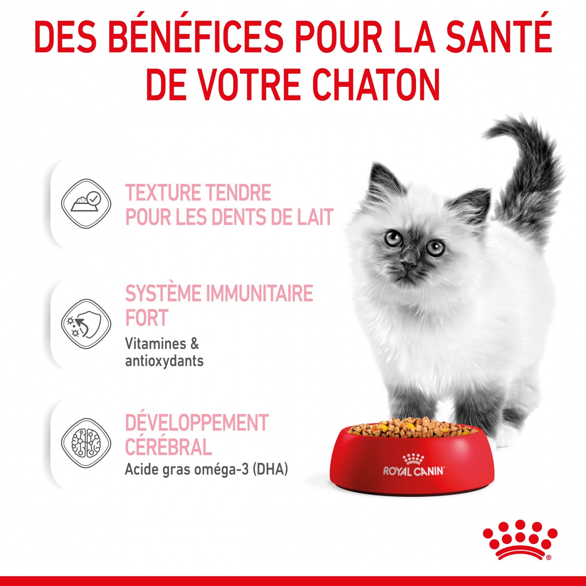 Royal Canin Kitten en Gelée - Pâtée pour chaton