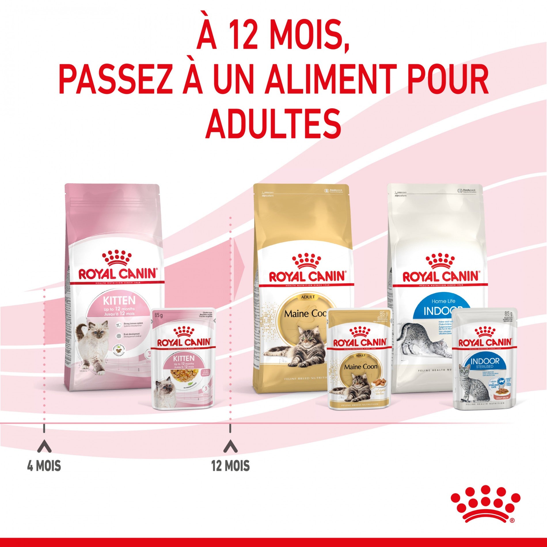 Royal Canin Kitten en Gelée - Pâtée pour chaton