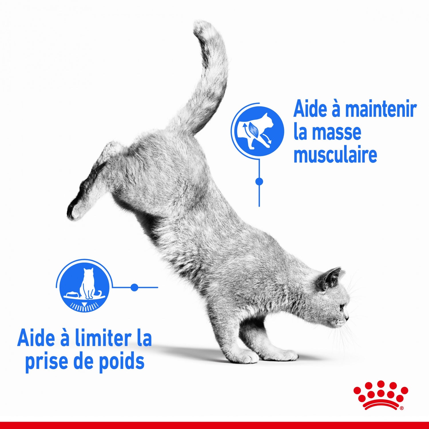 Royal Canin Light Weight Care