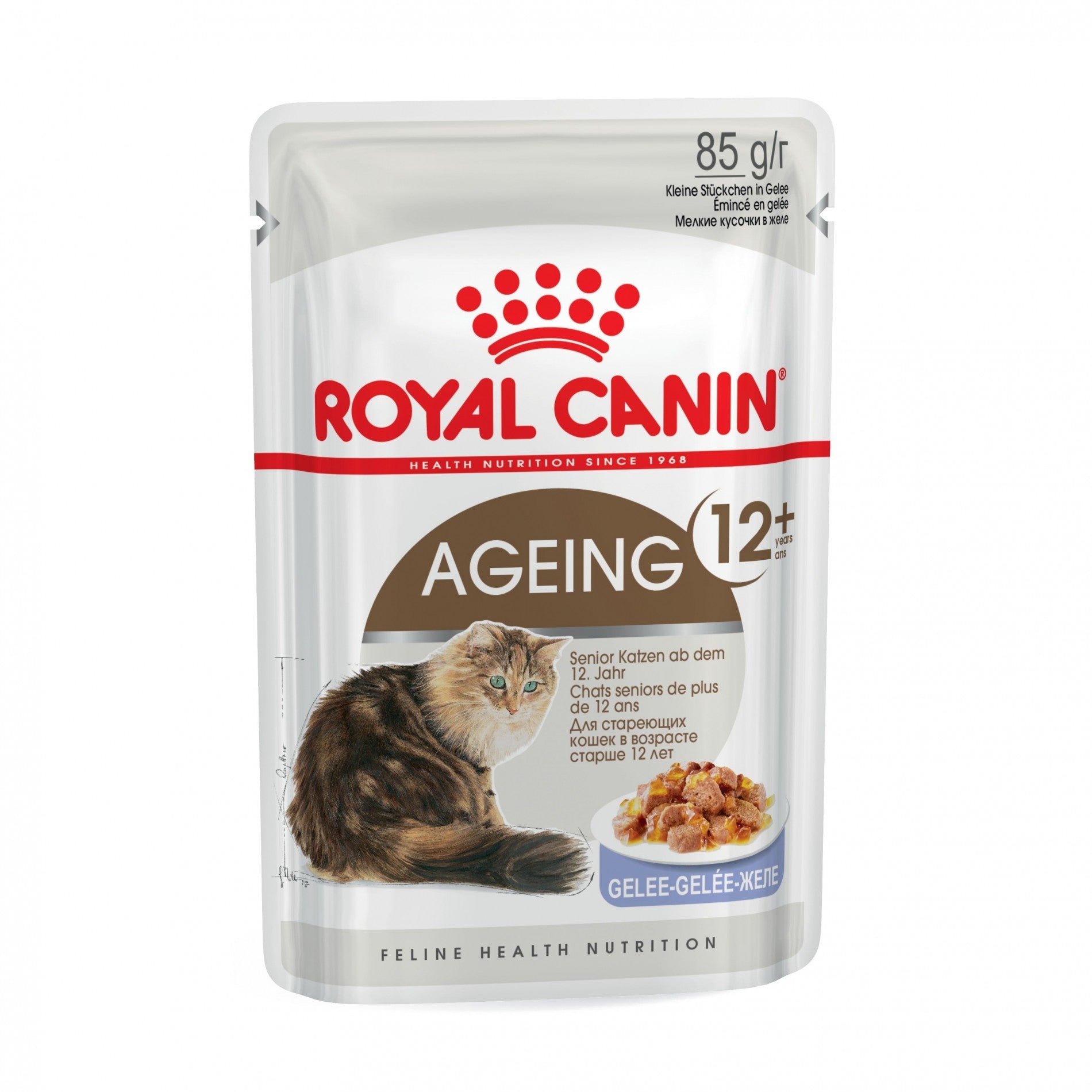Royal Canin Ageing 12+