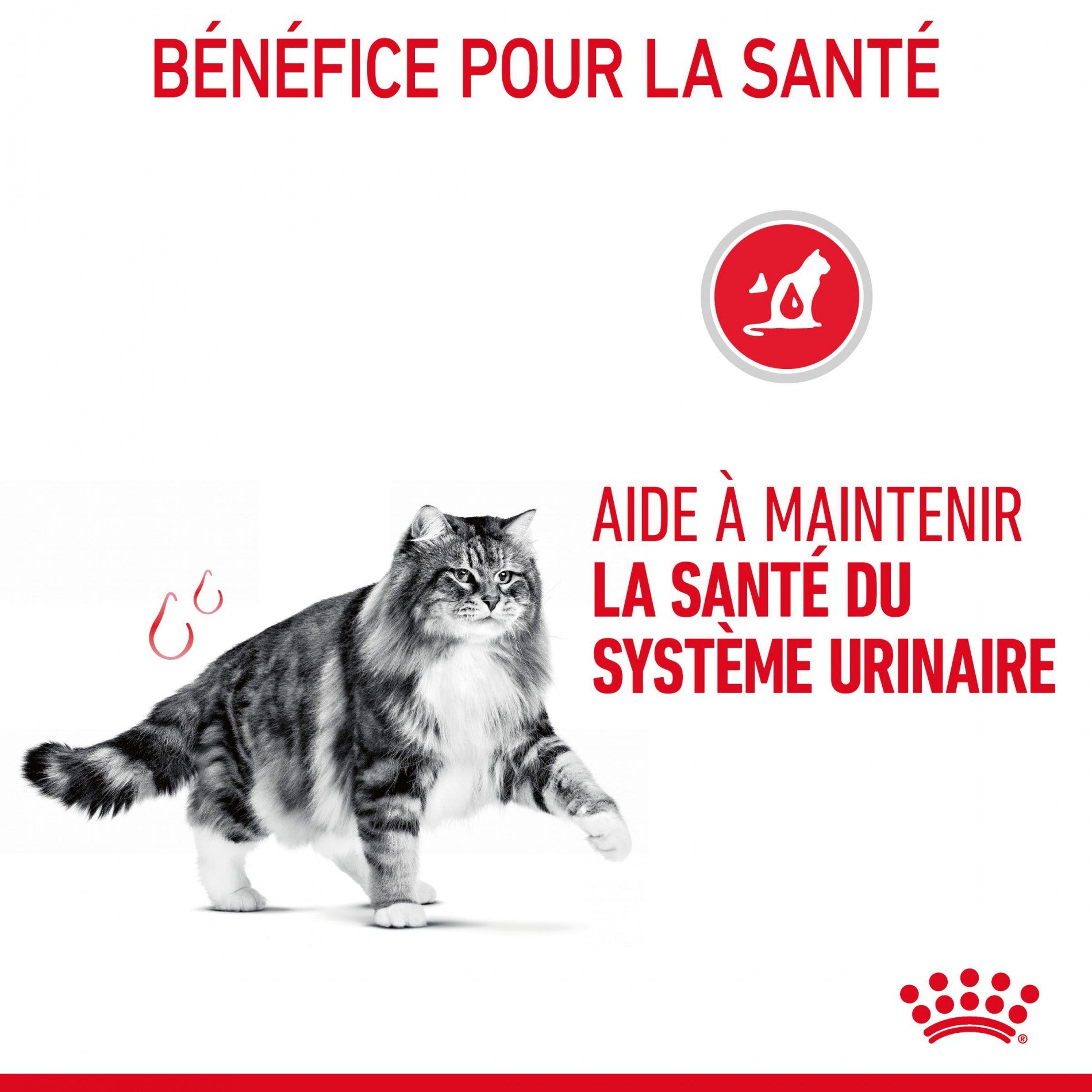 ROYAL CANIN Urinary Care en sauce - Pâtée pour chat