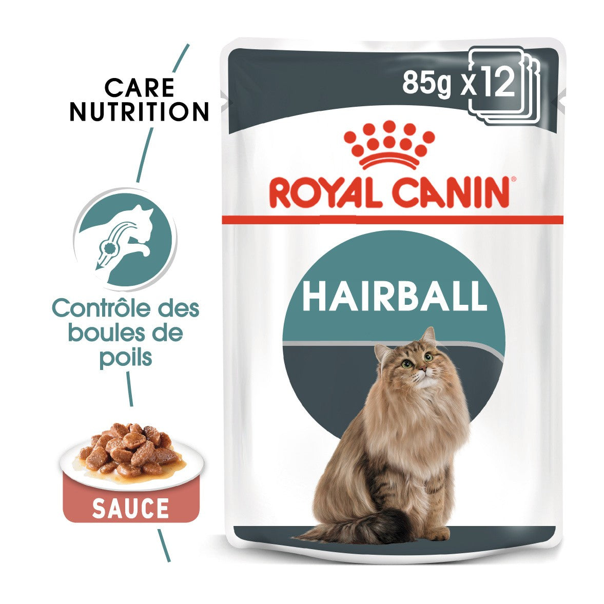 Royal Canin Hairball Care