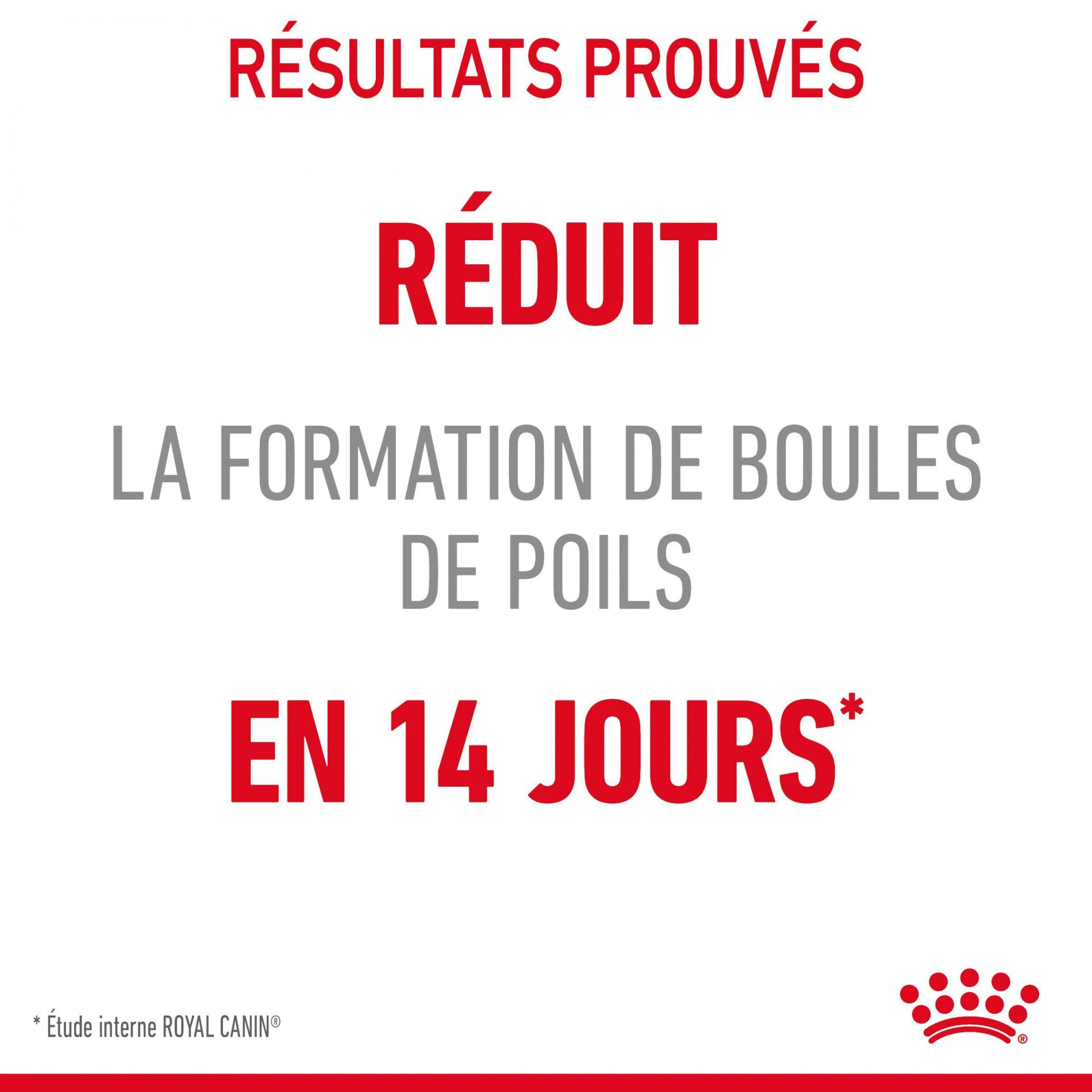 Royal Canin Hairball Care