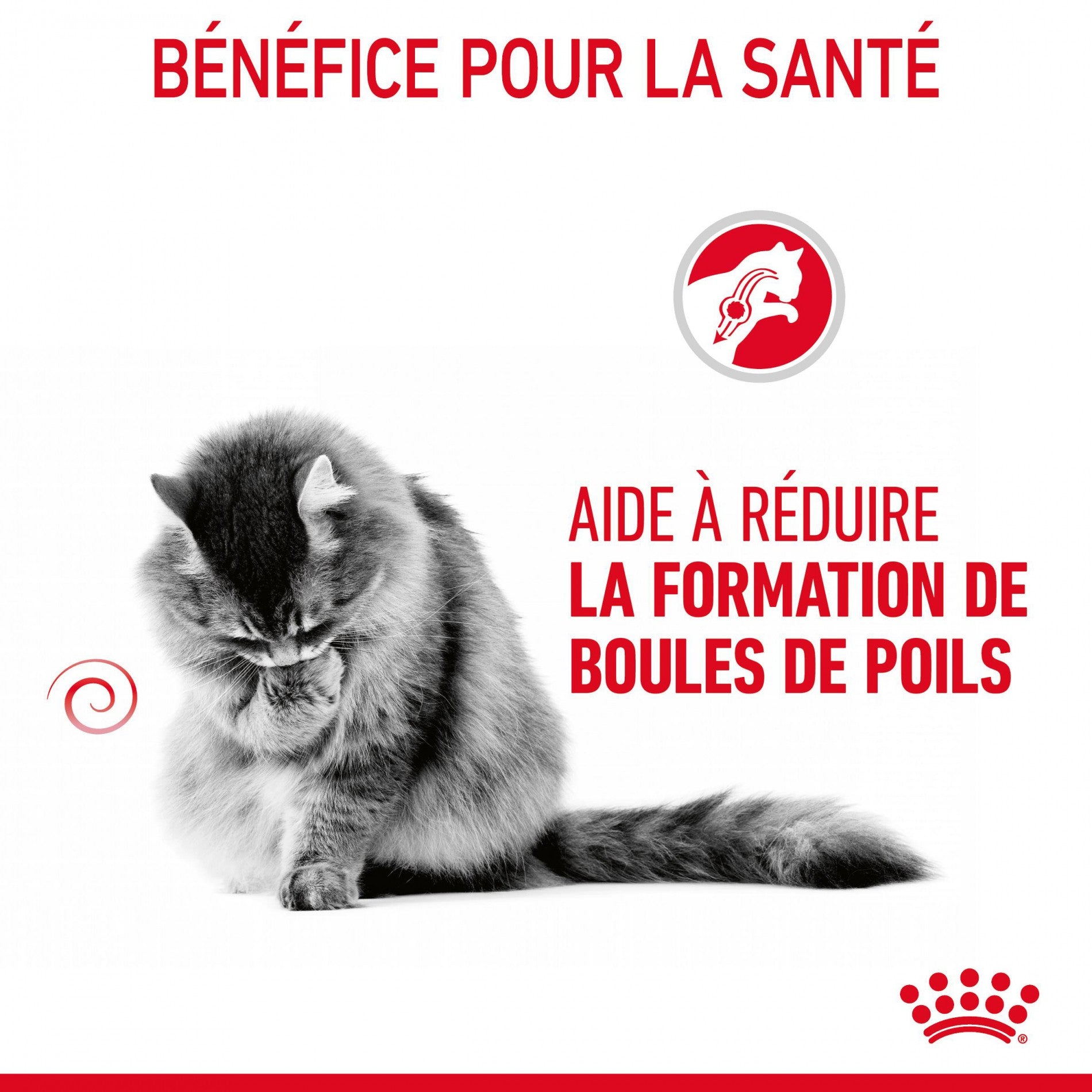 Royal Canin Hairball Care