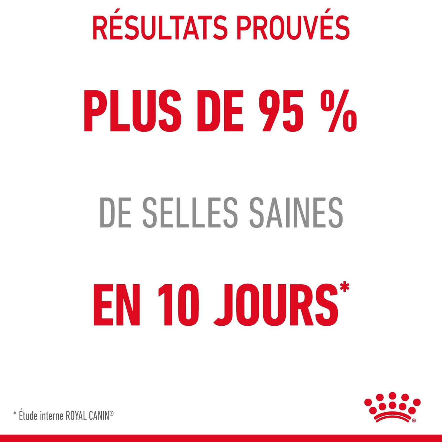 ROYAL CANIN Digestive Care en Mousse – Pâtée pour chat