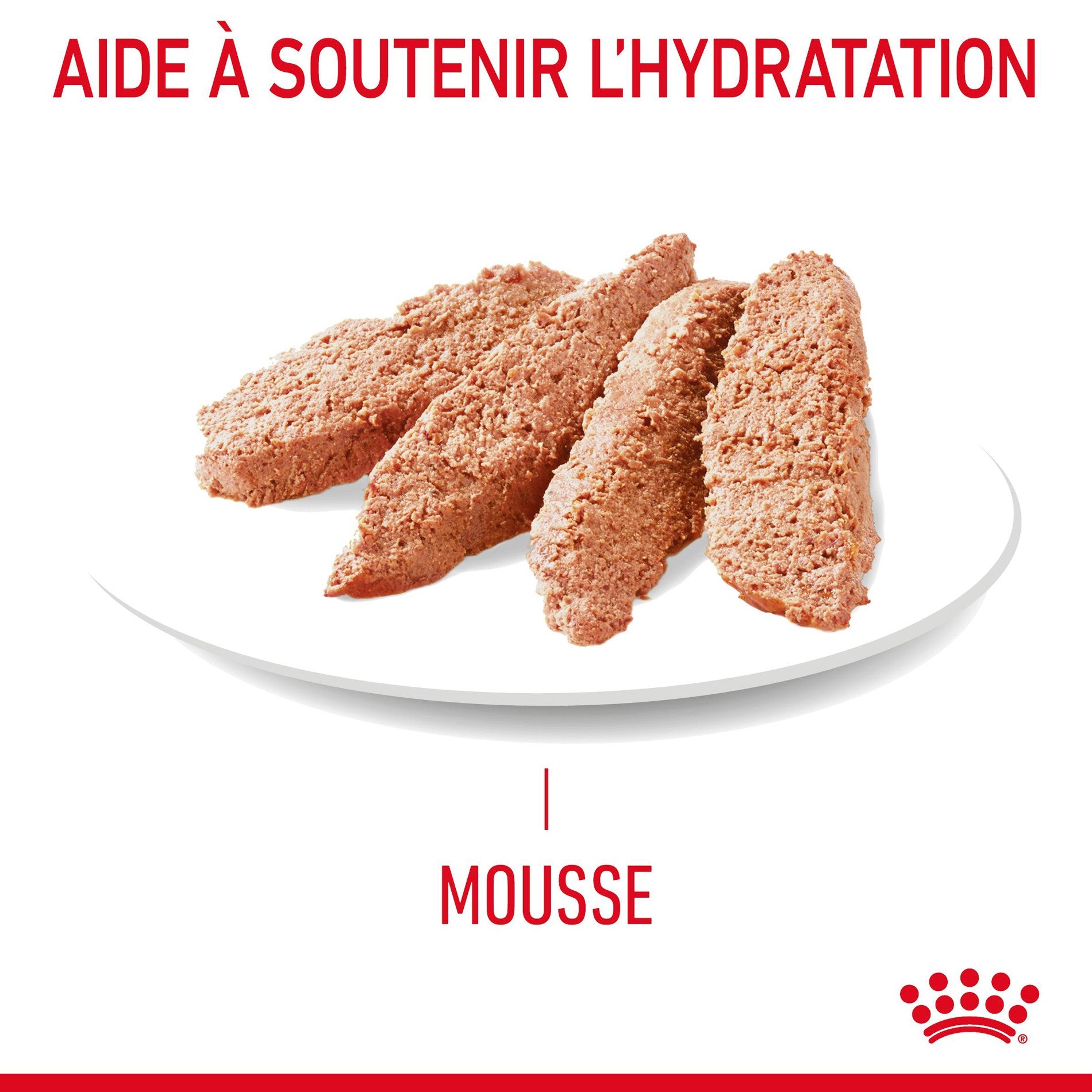 ROYAL CANIN Digestive Care en Mousse – Pâtée pour chat
