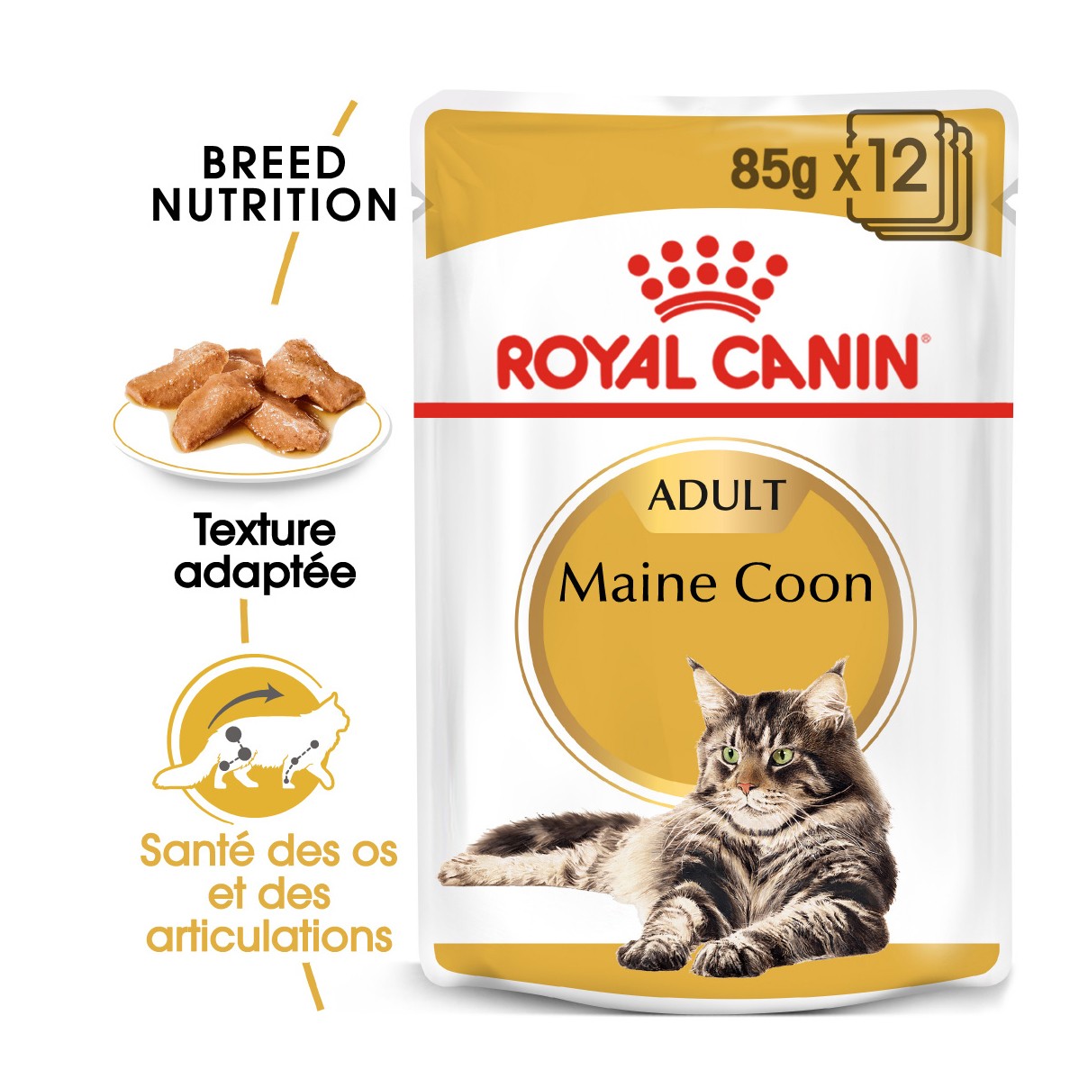 Royal Canin Maine Coon