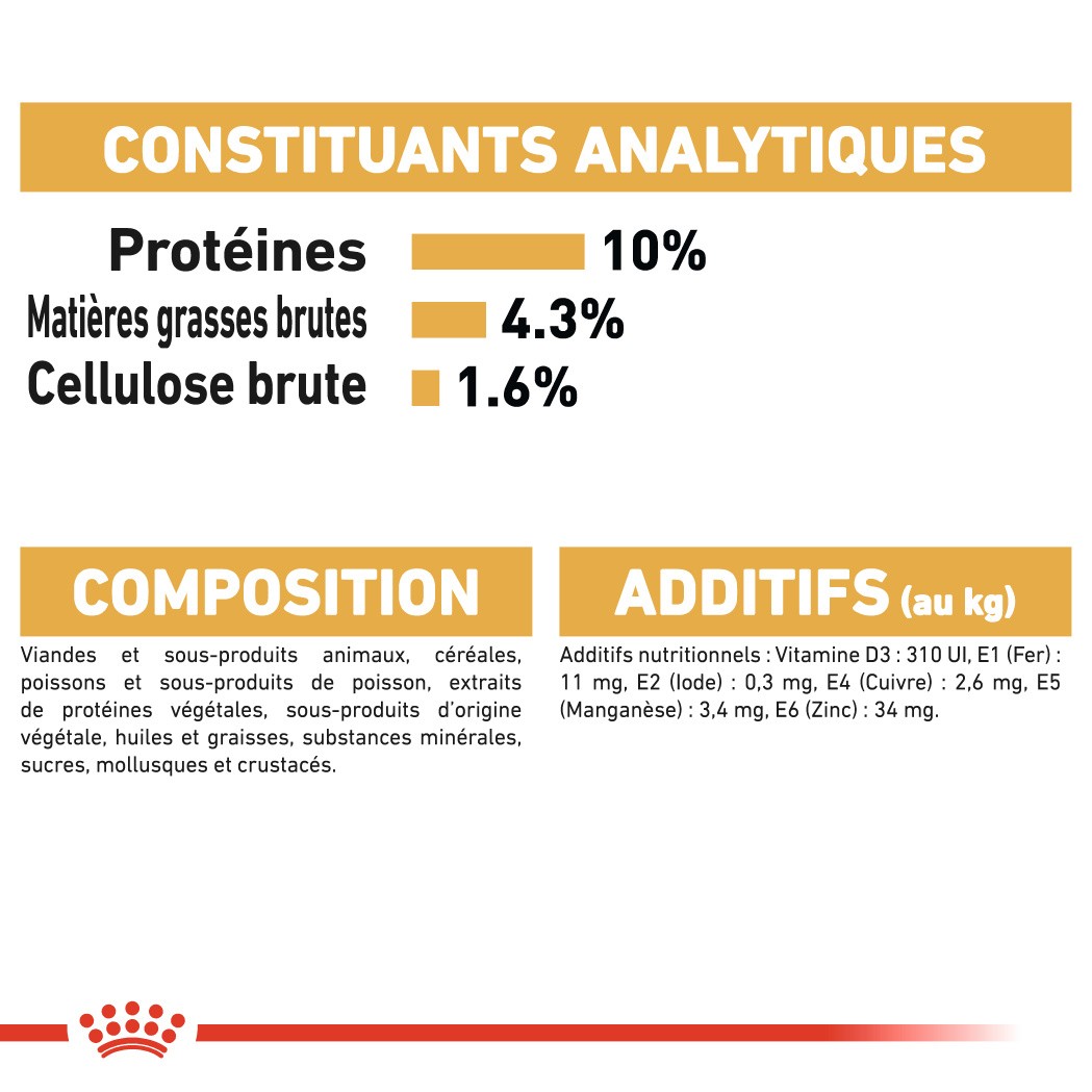 Royal Canin Maine Coon