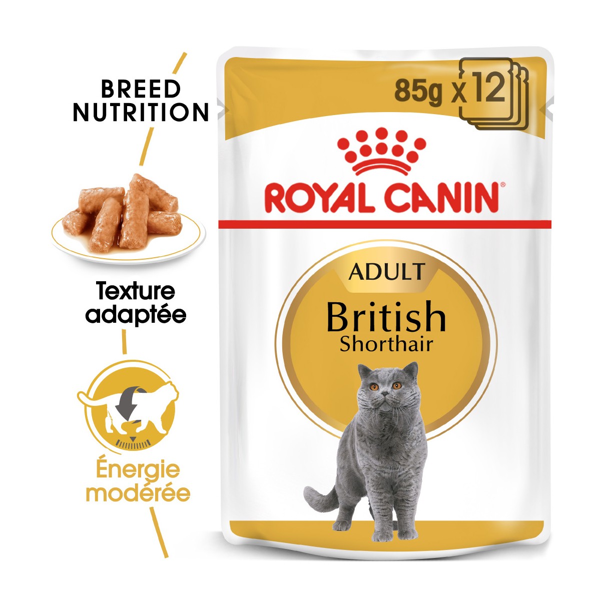 Royal Canin British Shorthair - Pâtée en sachet pour chat