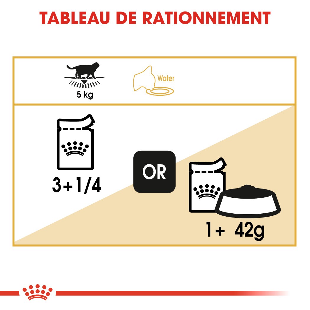 Royal Canin British Shorthair - Pâtée en sachet pour chat